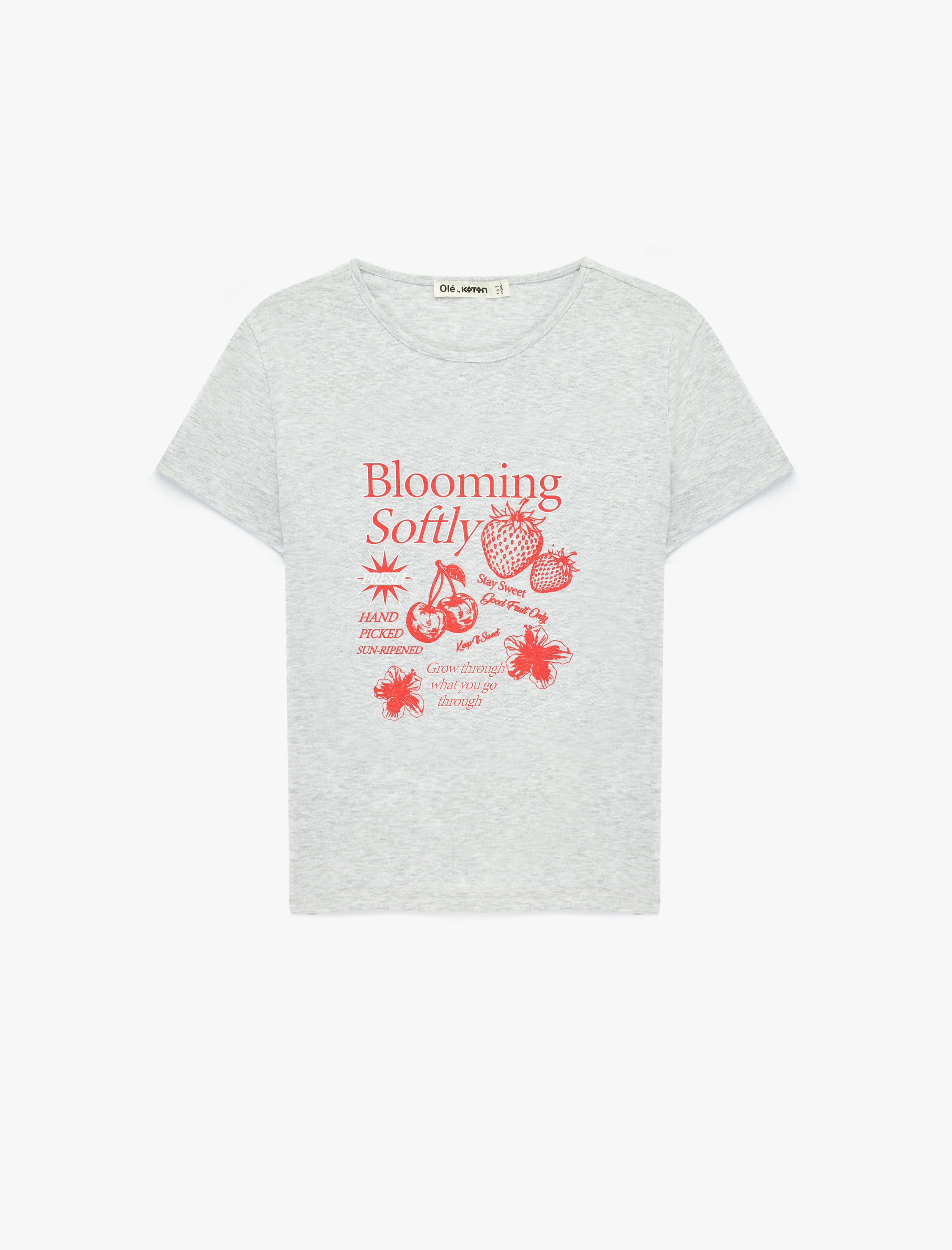 Slim Fit Kısa Kollu Bisiklet Yaka Meyve Baskılı Tişört - Görsel 3