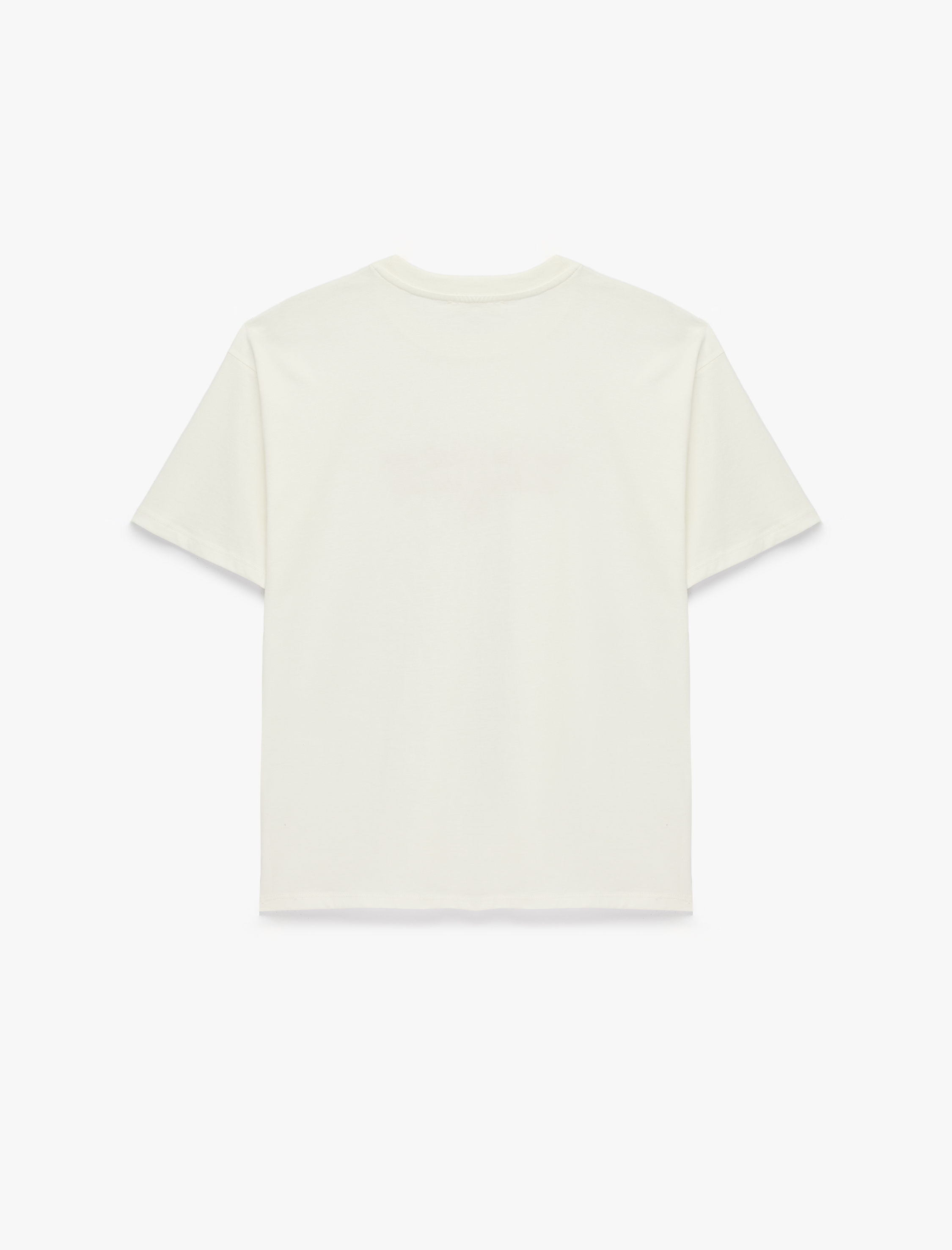 Pamuklu Slim Fit Kısa Kollu Bisiklet Yaka Baskılı Tişört - Görsel 5