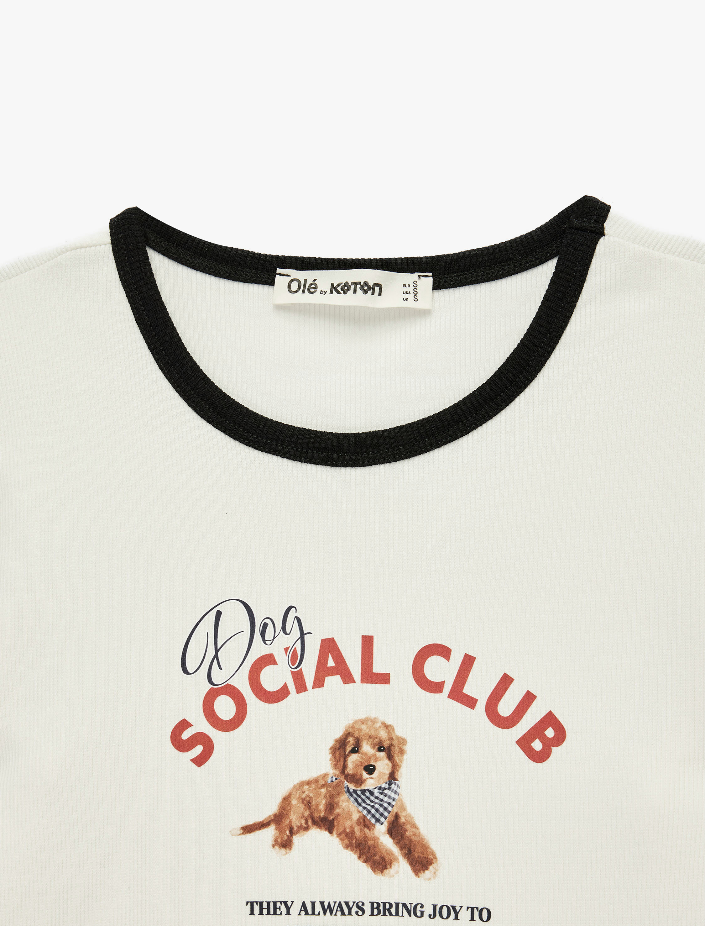 Pamuklu Kısa Kollu Biyeli Bisiklet Yaka Köpek Baskılı Tişört - Görsel 5