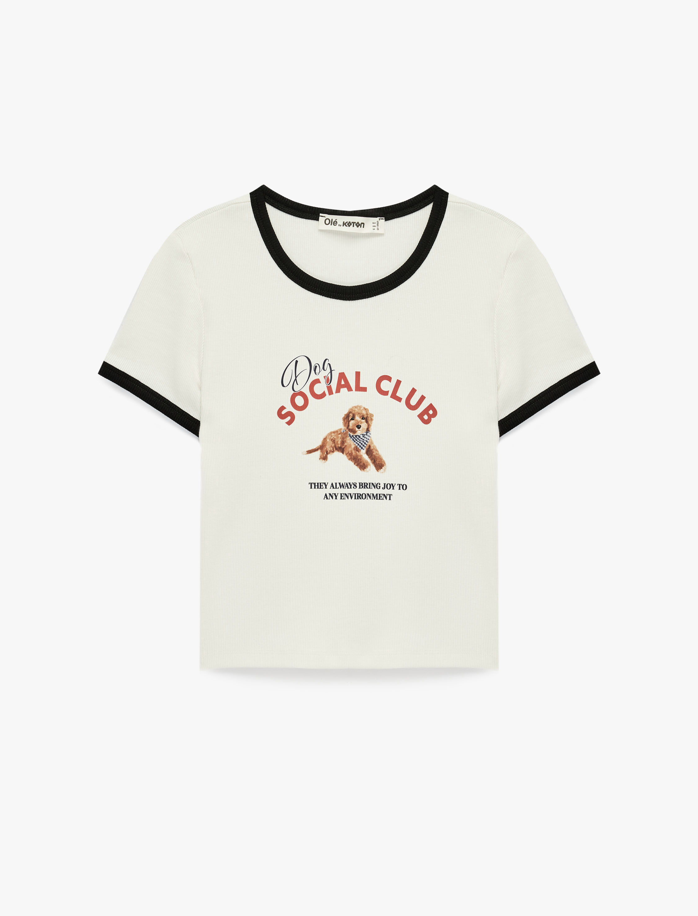 Pamuklu Kısa Kollu Biyeli Bisiklet Yaka Köpek Baskılı Tişört - Görsel 3