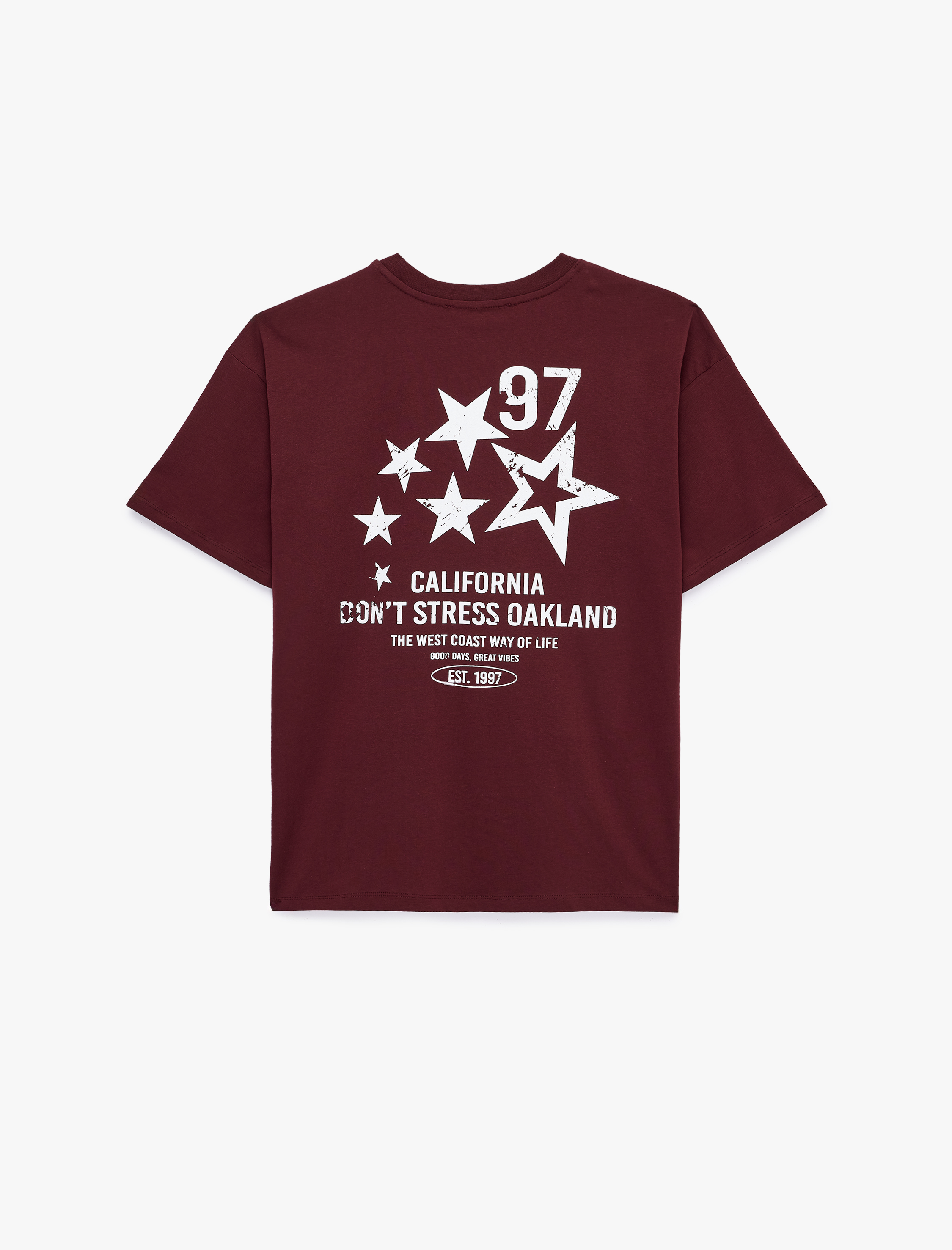 Rahat Kalıp Kısa Kollu Bisiklet Yaka Pamuklu Baskılı Tişört - Görsel 3