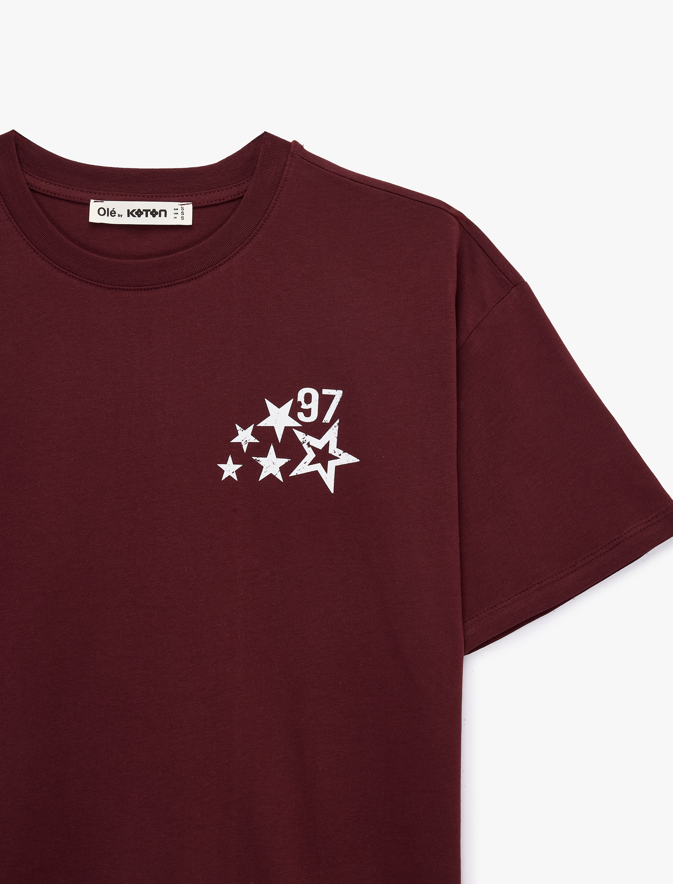 Rahat Kalıp Kısa Kollu Bisiklet Yaka Pamuklu Baskılı Tişört - Görsel 4