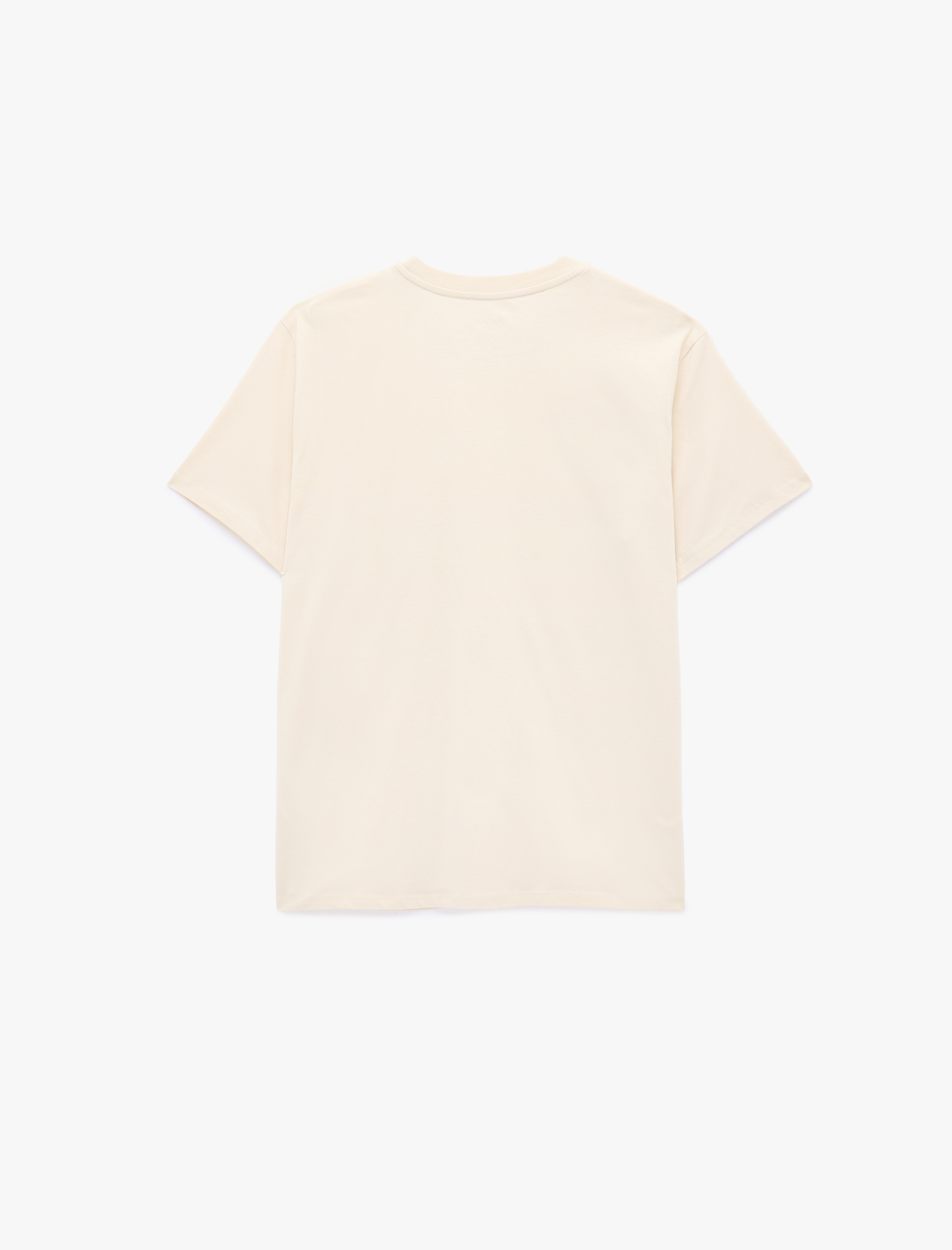   Regular Fit Kısa Kollu Pamuklu Bisiklet Yaka Basic Spor Tişört