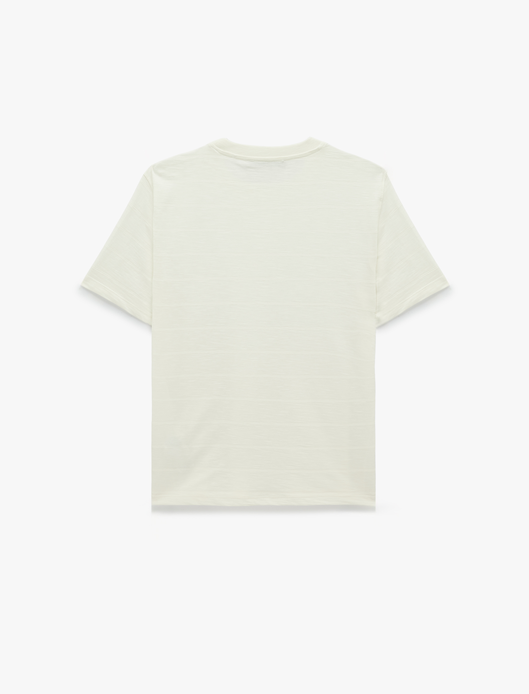   Pamuklu Regular Fit Kısa Kollu Bisiklet Yaka Tişört