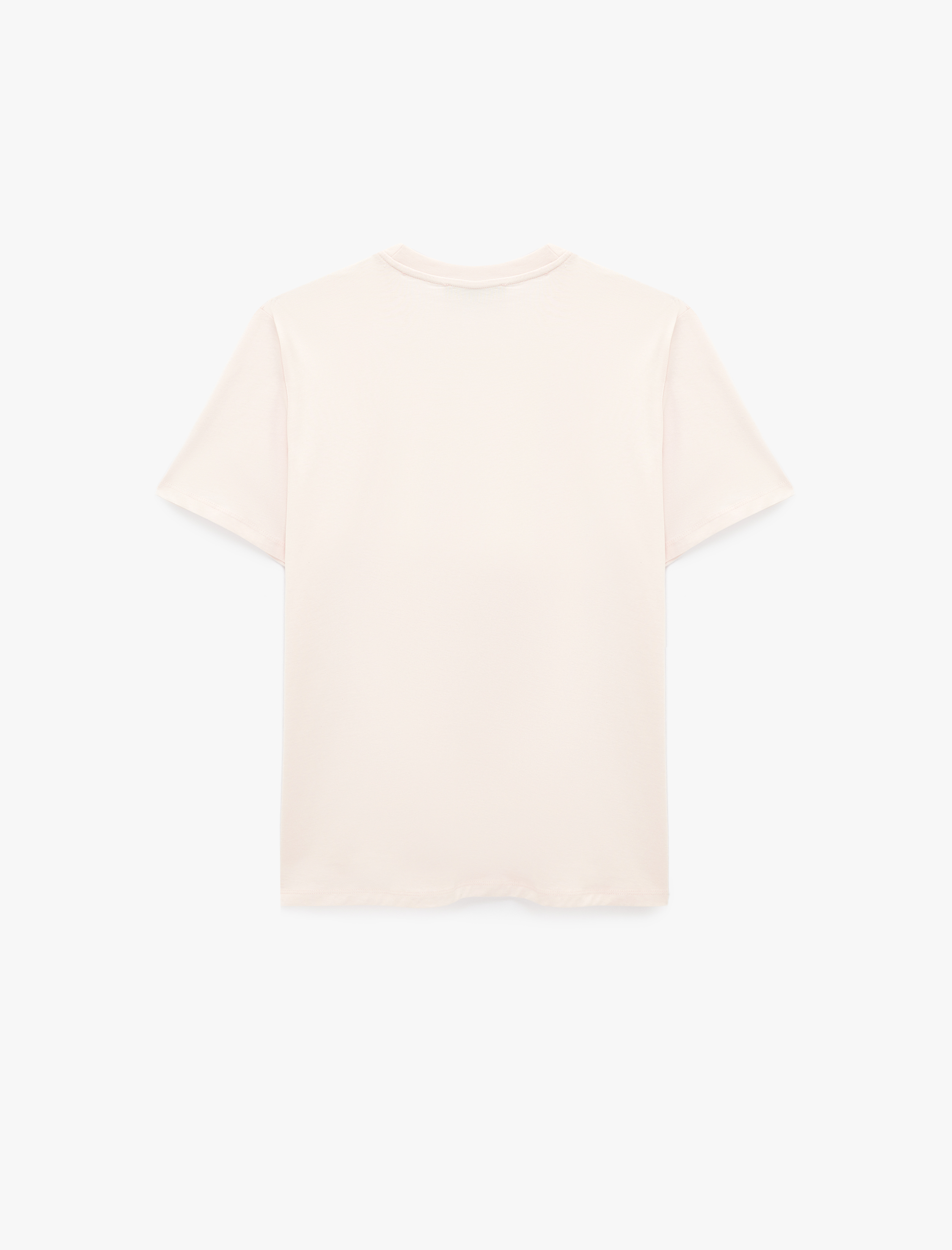   Regular Fit Kısa Kollu Bisiklet Yaka Baskılı Tişört