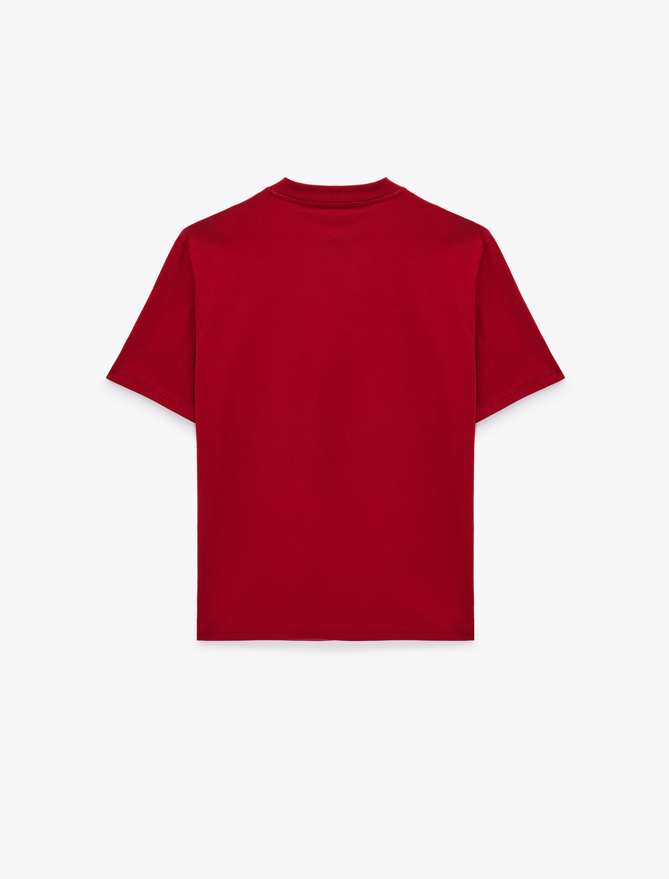   Regular Fit Bisiklet Yaka Pamuklu Basic Kısa Kollu Tişört