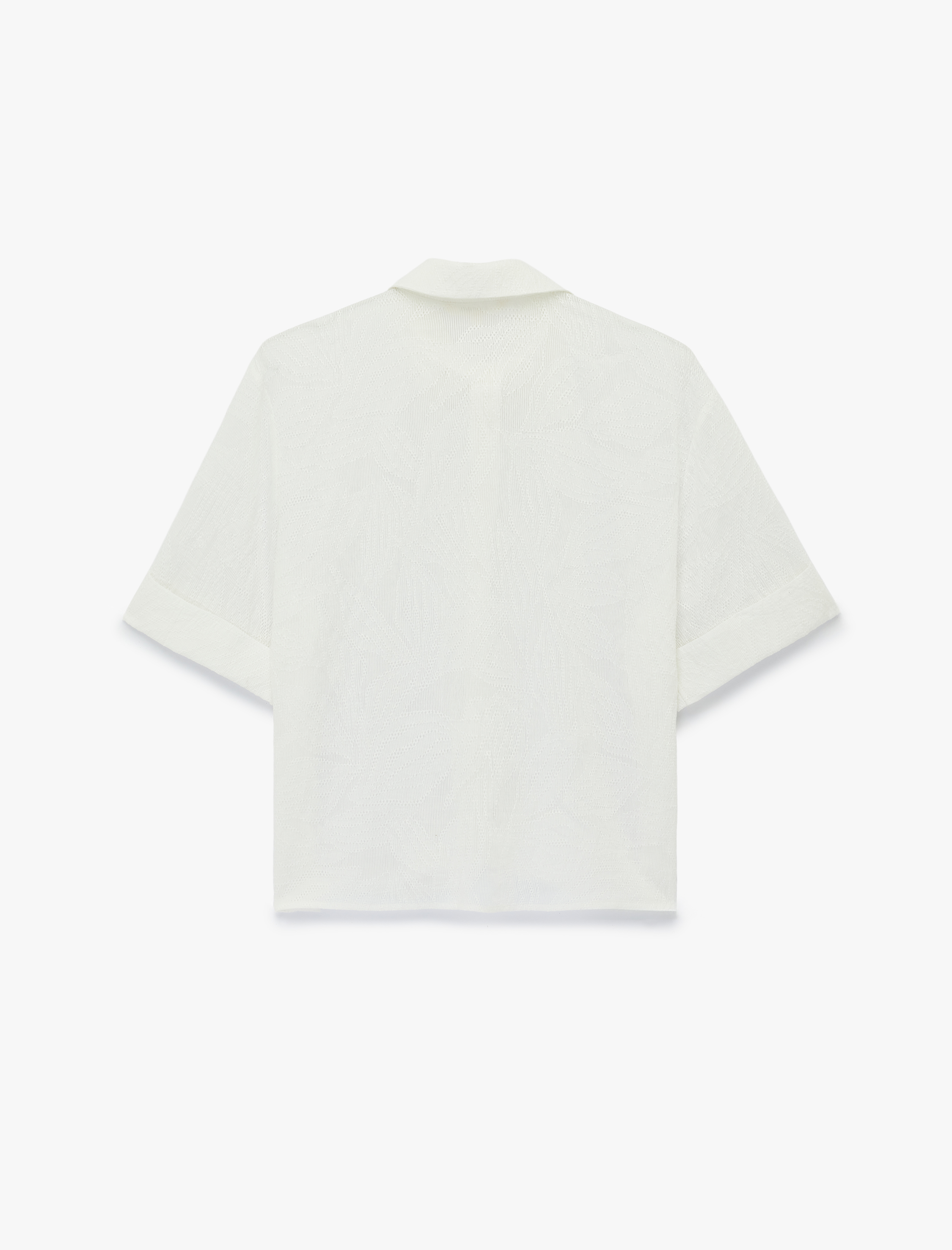   Viskon Karışımlı Yarı Transparan Klasik Yaka Kısa Kollu Gömlek