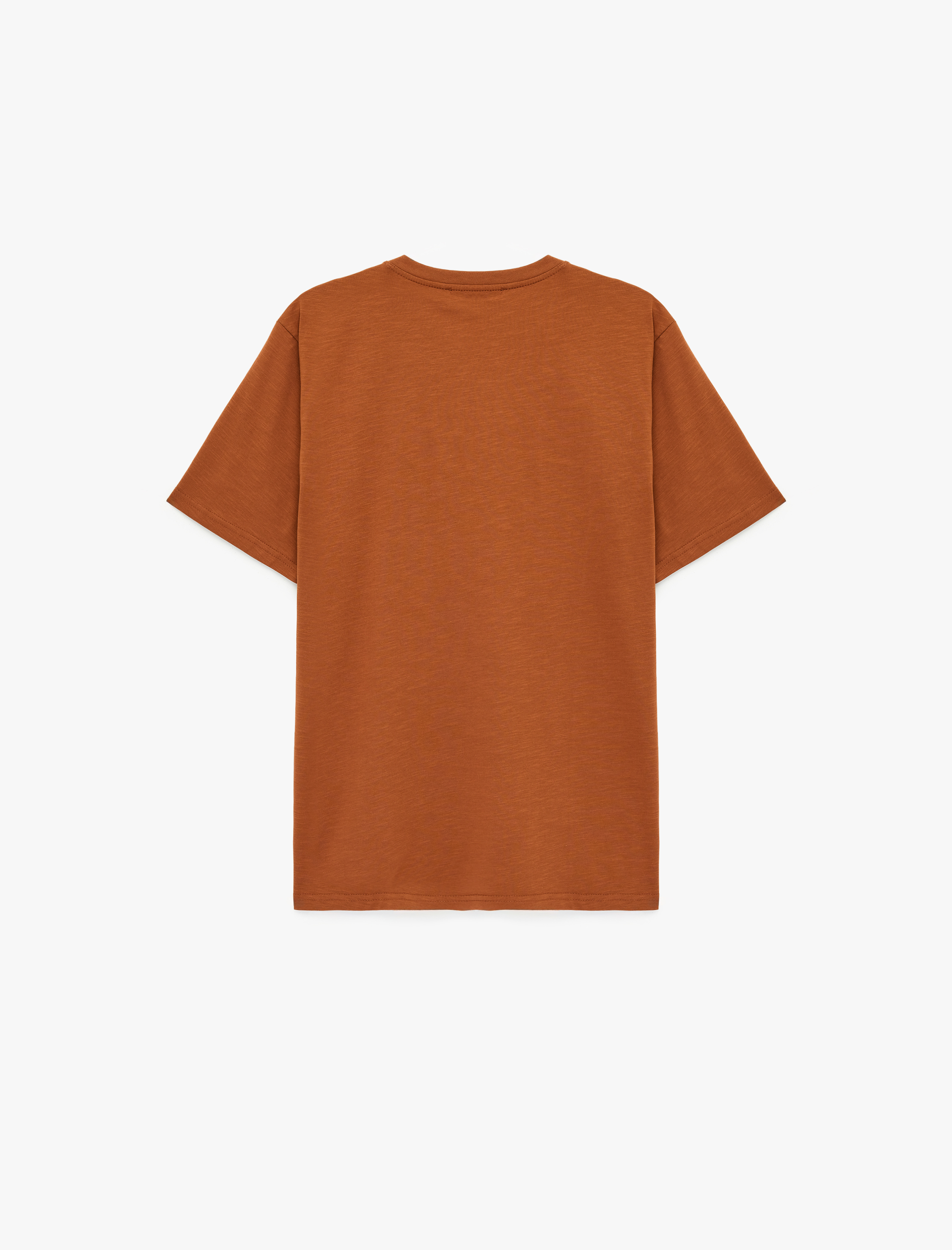   Regular Fit Bisiklet Yaka Kısa Kollu Baskılı Tişört