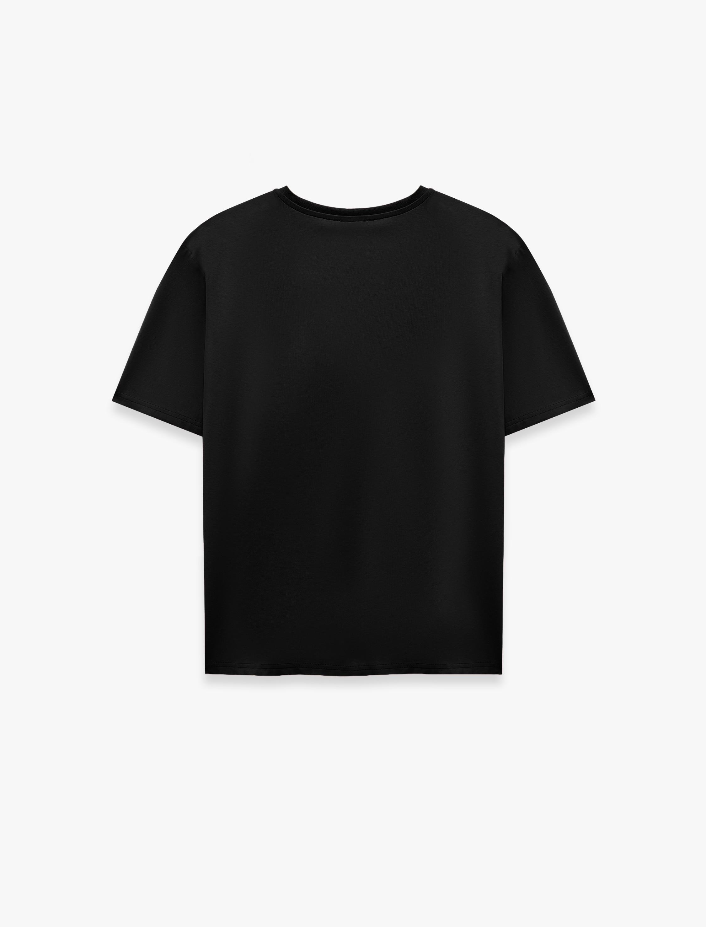   Pamuklu Regular Fit Bisiklet Yaka Kısa Kollu Basic Tişört