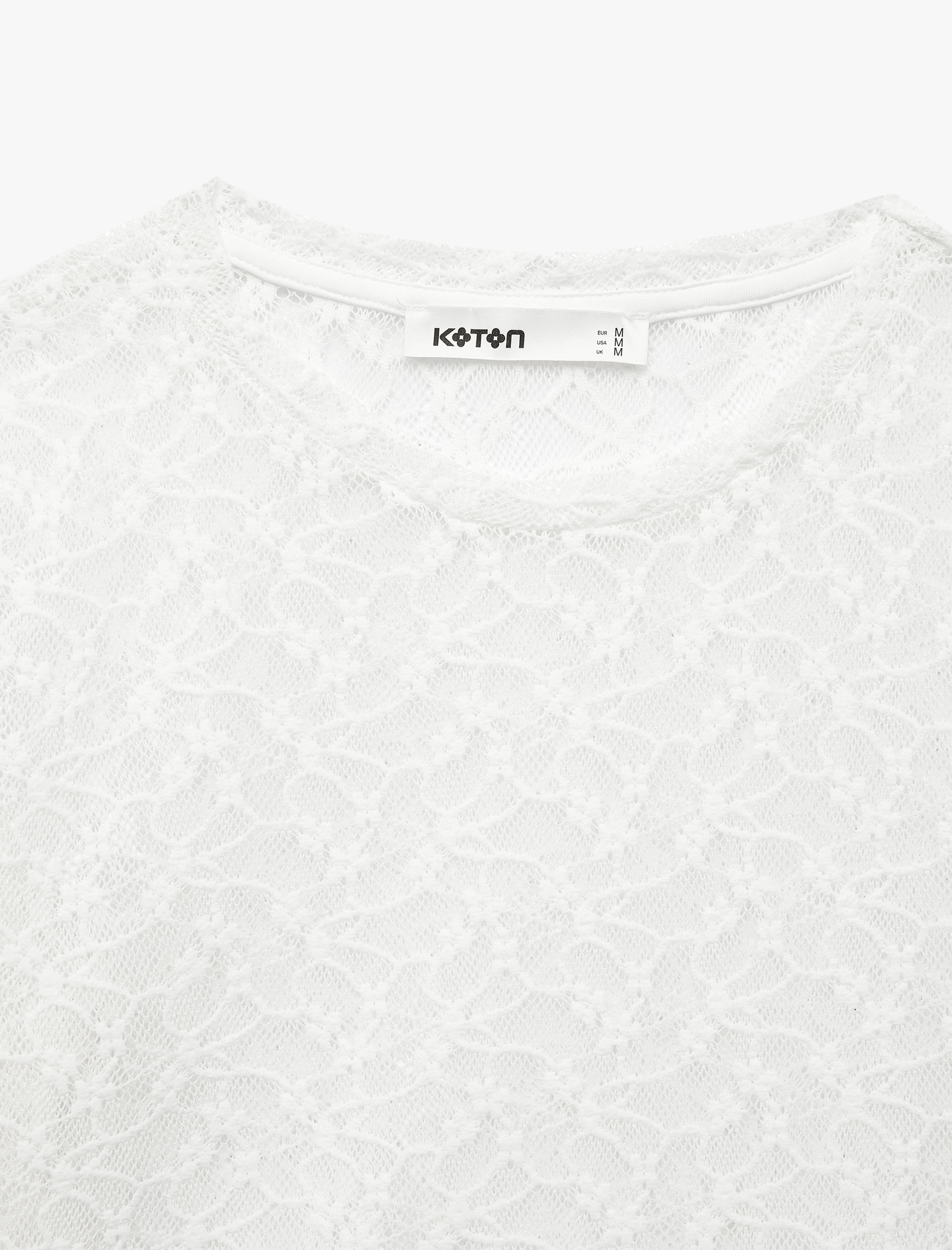   Yarı Transparan Slim Fit Kısa Kollu Dantel Crop Tişört