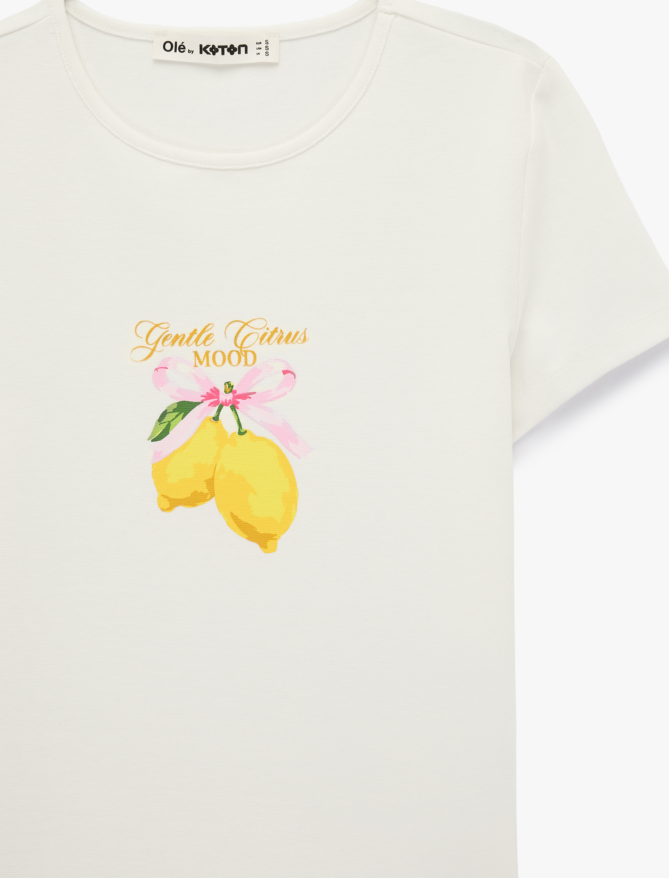   Slim Fit Bisiklet Yaka Pamuklu Kısa Kollu Limon Baskılı Tişört