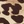 Leopar Desenli Brazilian Külot-BDL
