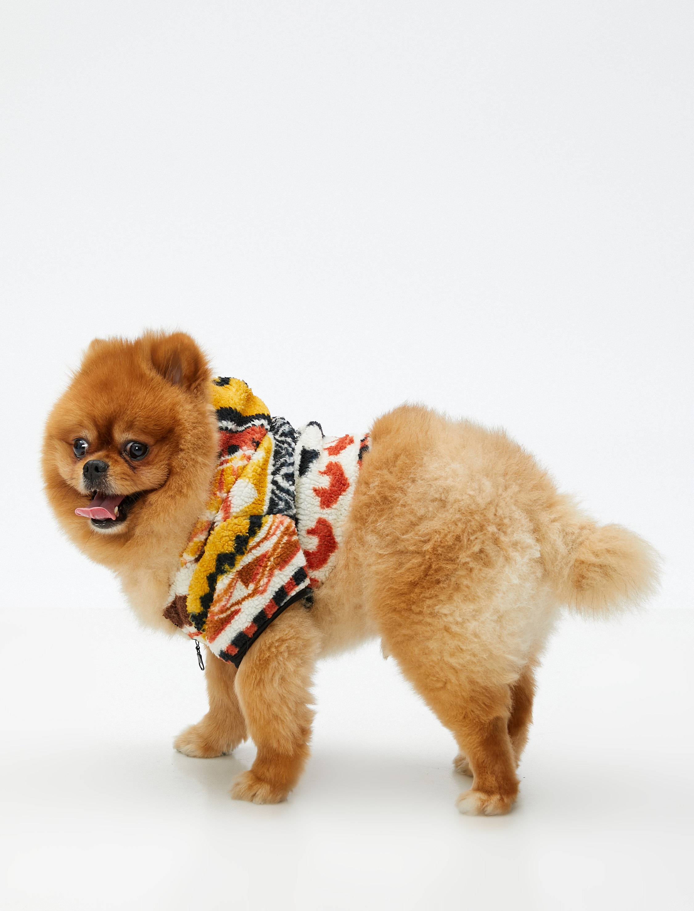   Peluş Köpek Sweatshirt