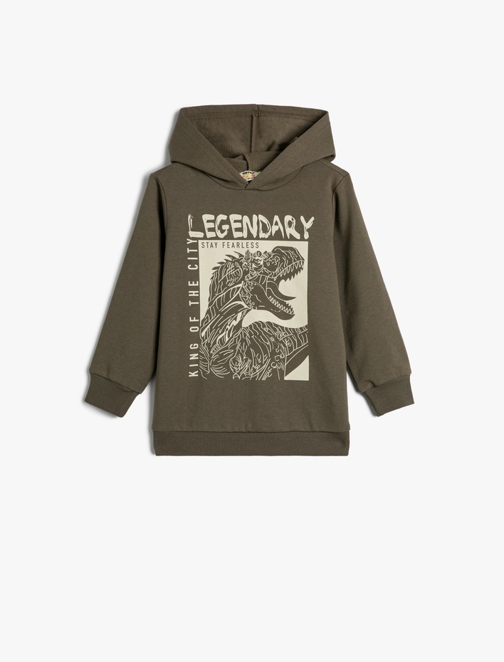 Erkek Çocuk Kapşonlu Sweatshirt Dinozor Baskılı Uzun Kollu Şardonlu