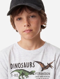 Kısa Kollu Bisiklet Yaka Dinozor Baskılı Tişört