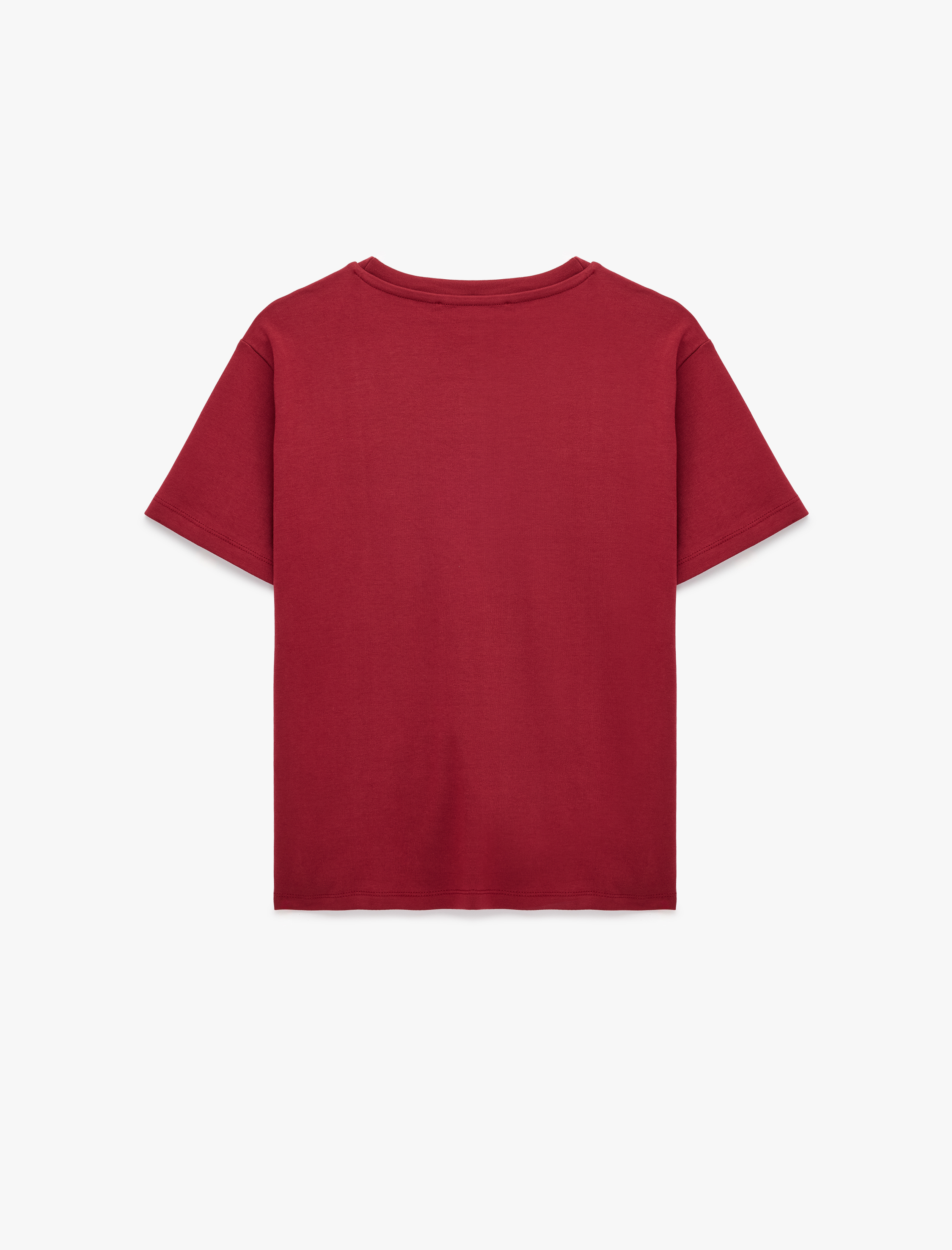   Regular Fit Pamuklu Aksesuar Detaylı Kısa Kollu Bisiklet Yaka Tişört