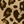 Leopar Desenli Bol Kesim Pamuklu Pantolon-5D1