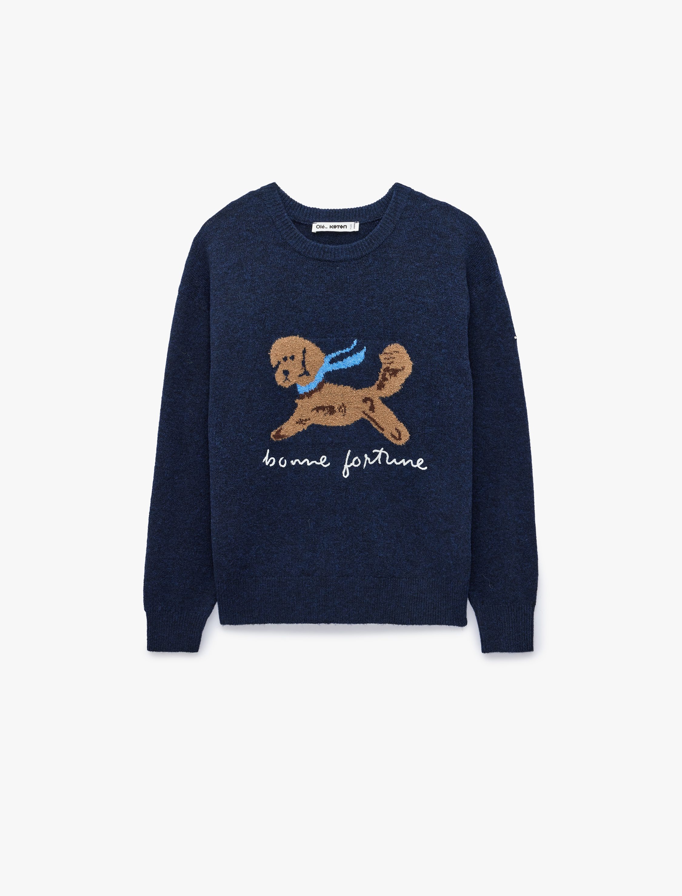   Uzun Kollu Bisiklet Yaka Köpek Desenli Triko Kazak