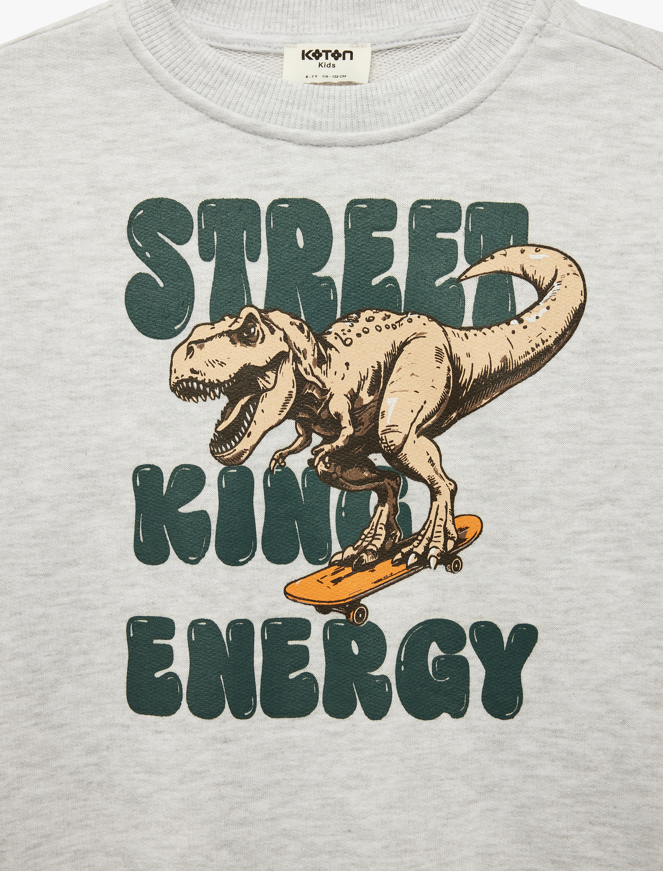  Erkek Çocuk Uzun Kollu Bisiklet Yaka Dinozor Baskılı Sweatshirt