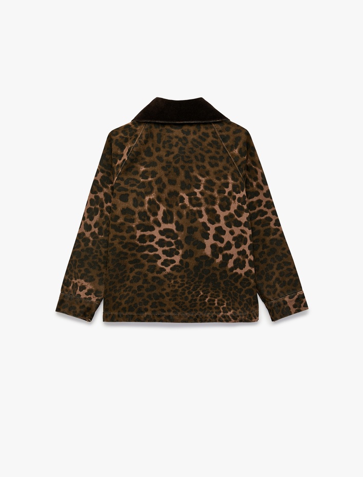 Kız Çocuk Pamuklu Polo Yaka Leoparlı Oversize Mevsimlik Ceket