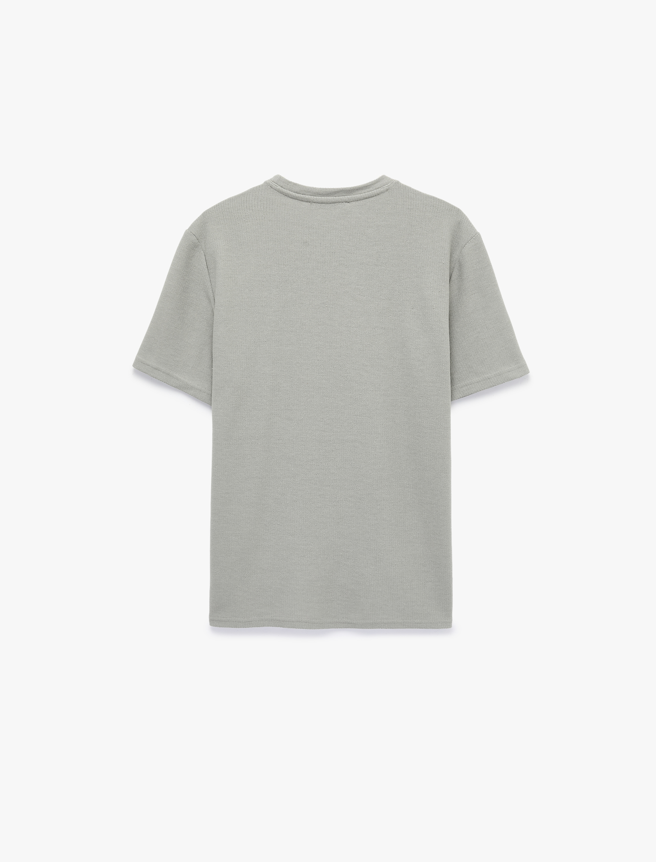   Regular Fit Kısa Kollu Bisiklet Yaka Basic Tişört