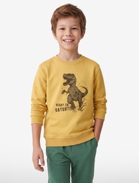 Dinozor Baskılı Uzun Kollu Şardonlu Bisiklet Yaka Sweatshirt