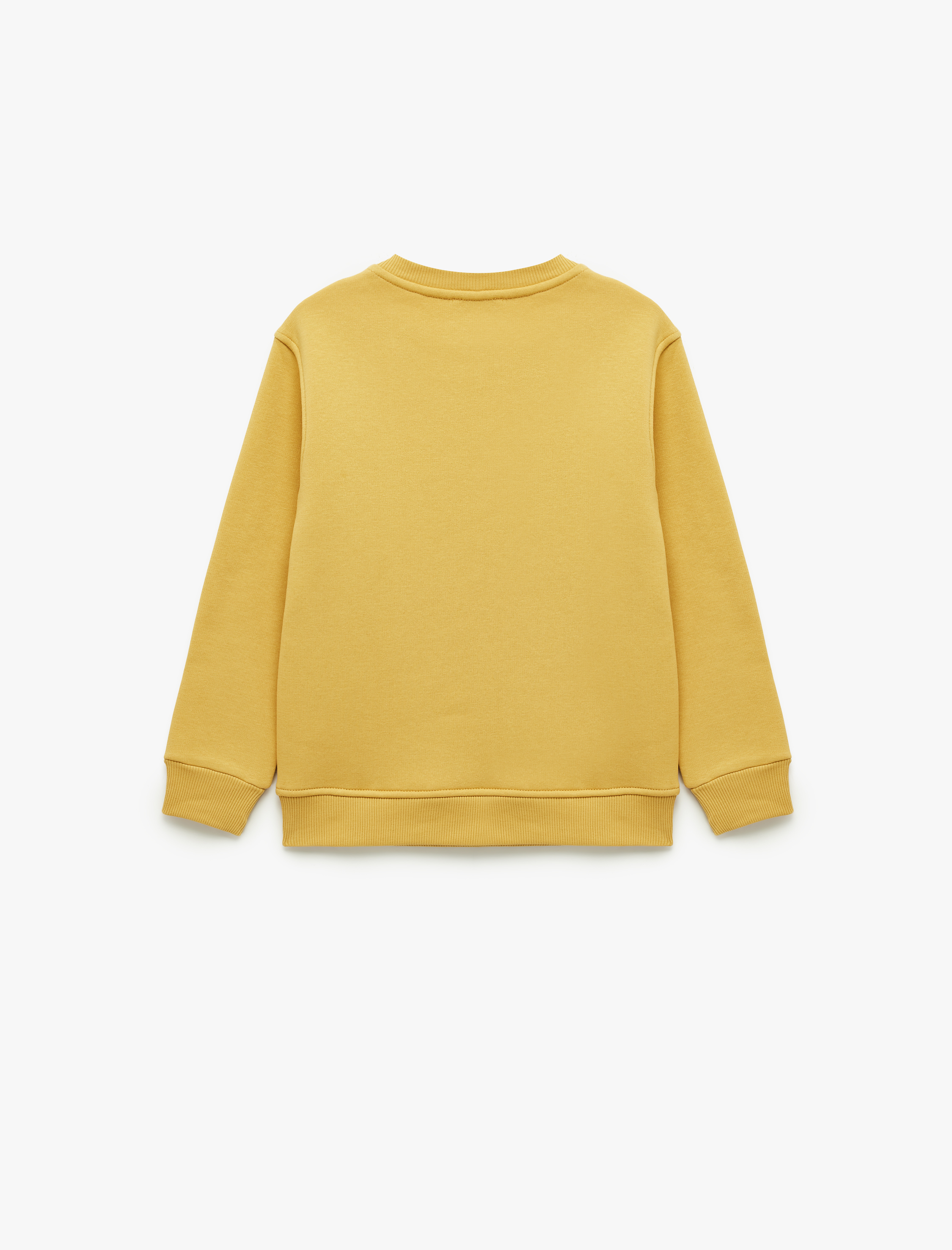  Erkek Çocuk Dinozor Baskılı Uzun Kollu Şardonlu Bisiklet Yaka Sweatshirt