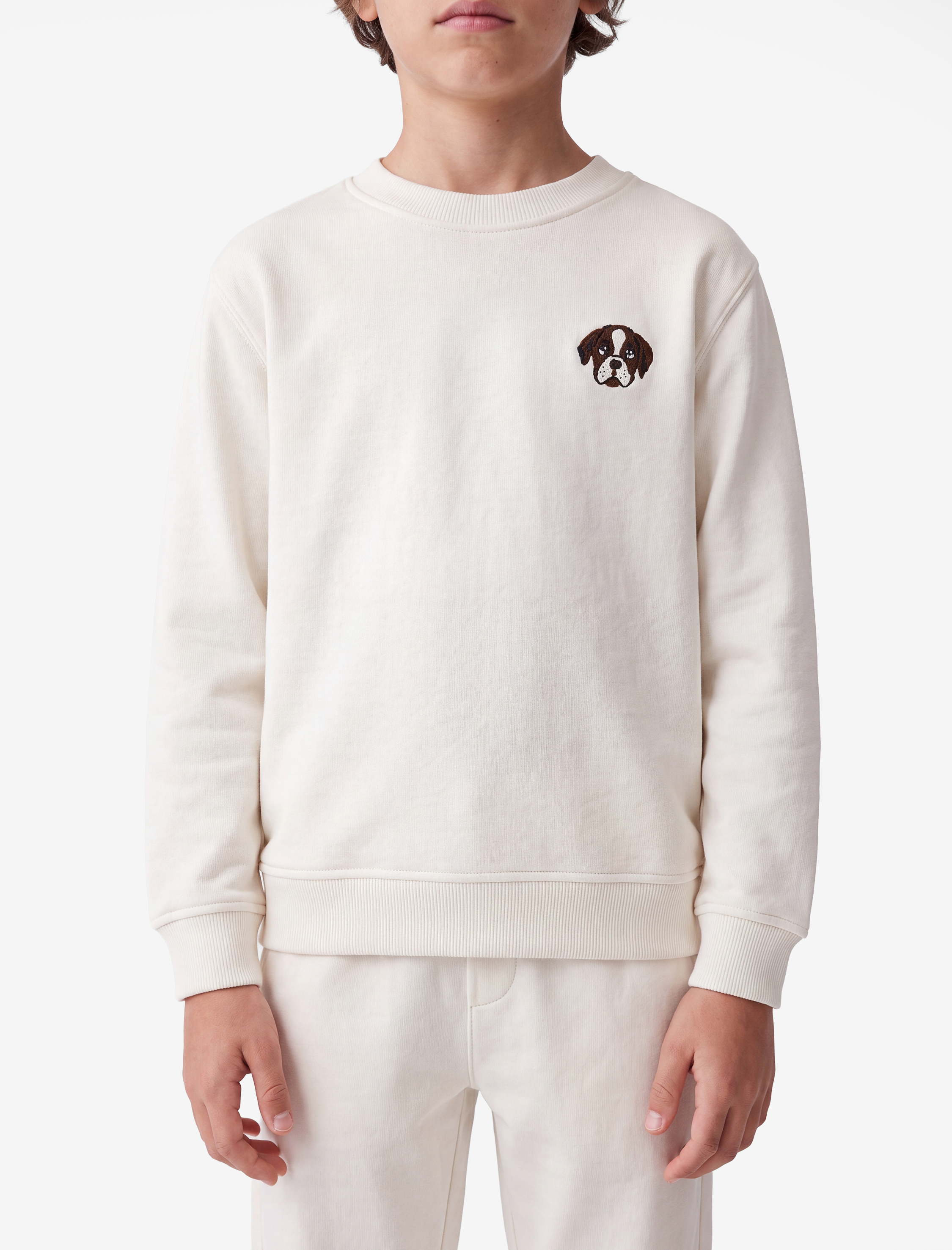  Erkek Çocuk Köpek Baskılı Uzun Kollu Bisiklet Yaka Sweatshirt