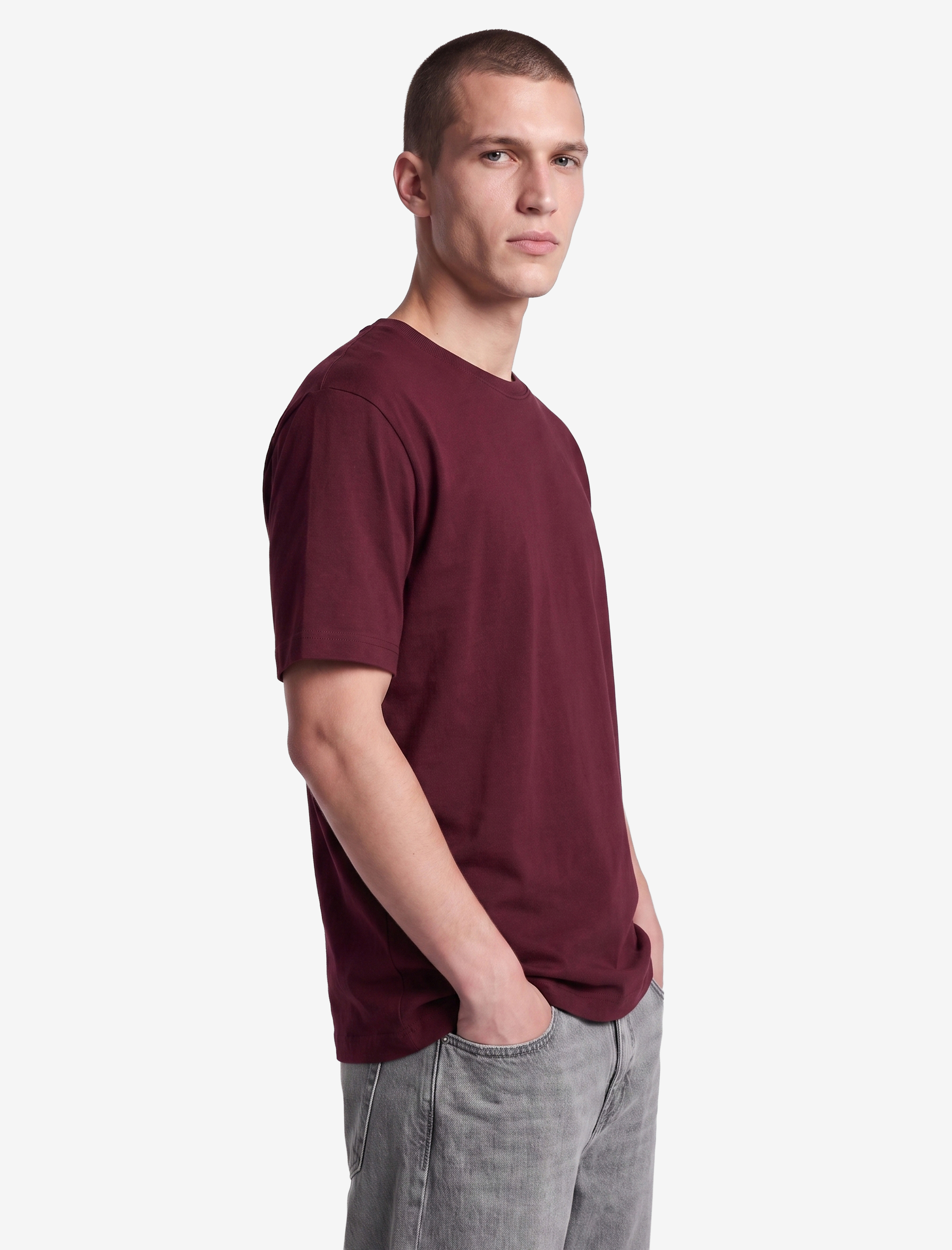   Regular Fit Kısa Kollu Bisiklet Yaka Tişört