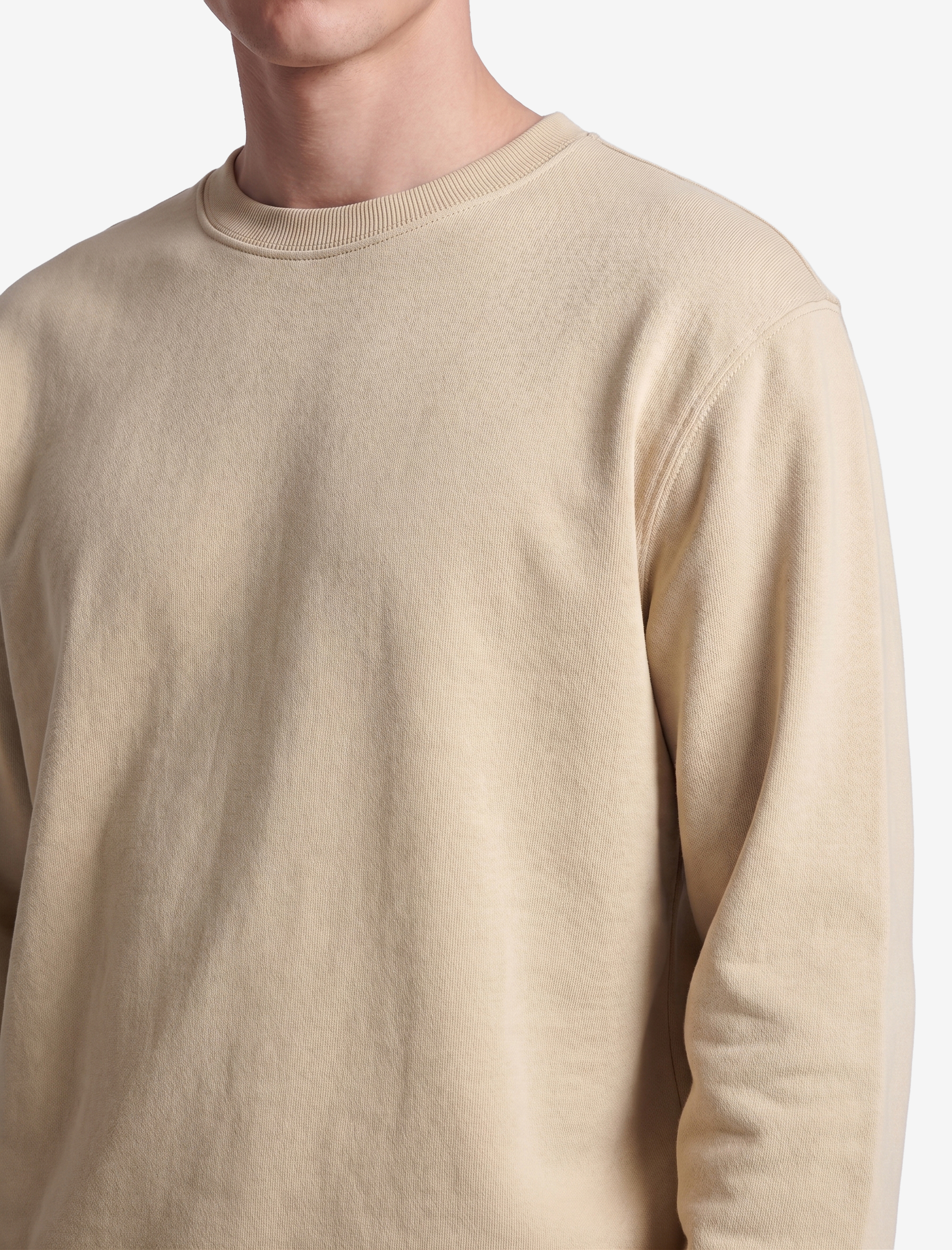   Pamuklu Uzun Kollu Şardonlu Bisiklet Yaka Erkek Basic Sweatshirt
