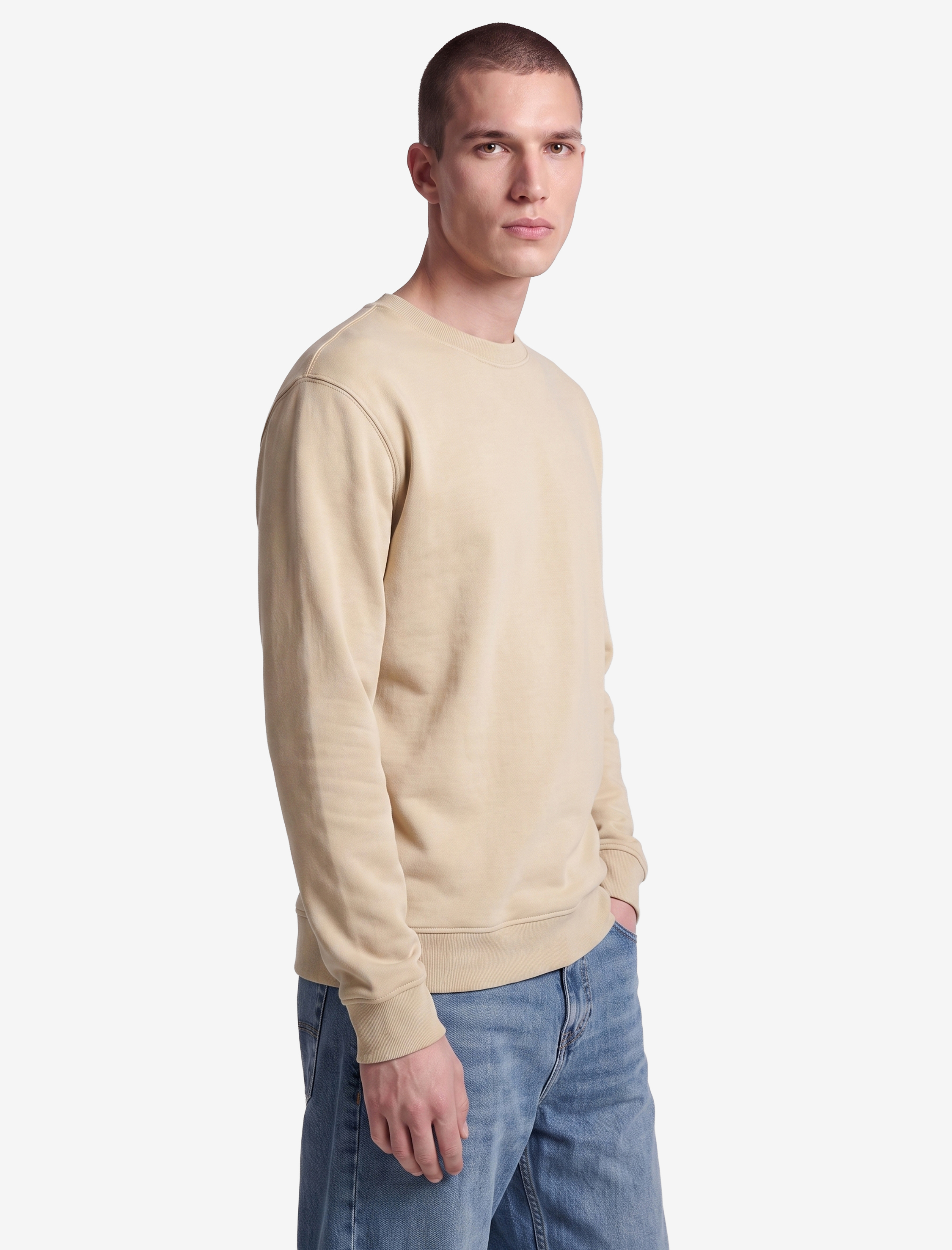   Pamuklu Uzun Kollu Şardonlu Bisiklet Yaka Erkek Basic Sweatshirt