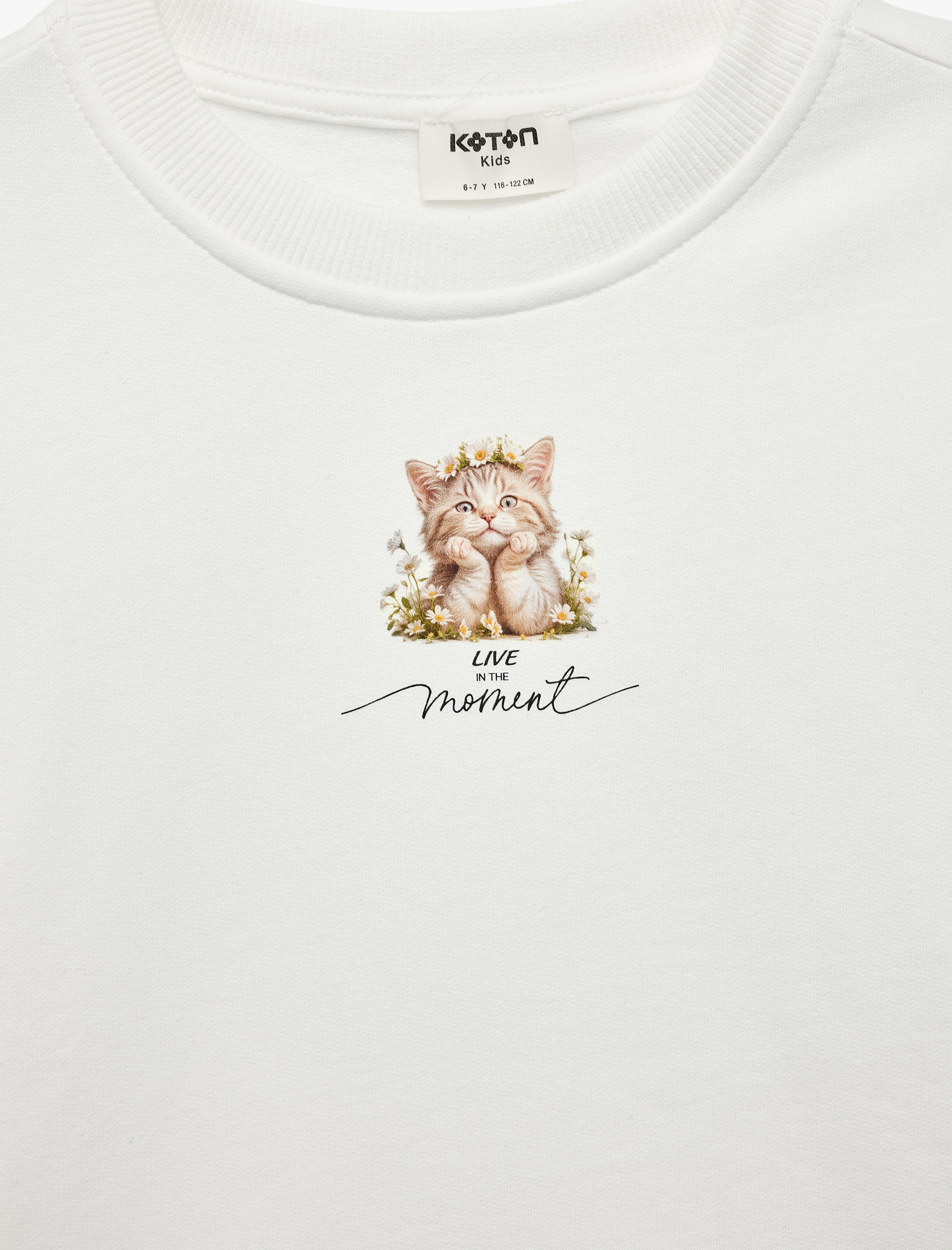 Kız Çocuk Kedi Baskılı Bisiklet Yaka Uzun Kollu Şardonlu Pamuklu Sweatshirt