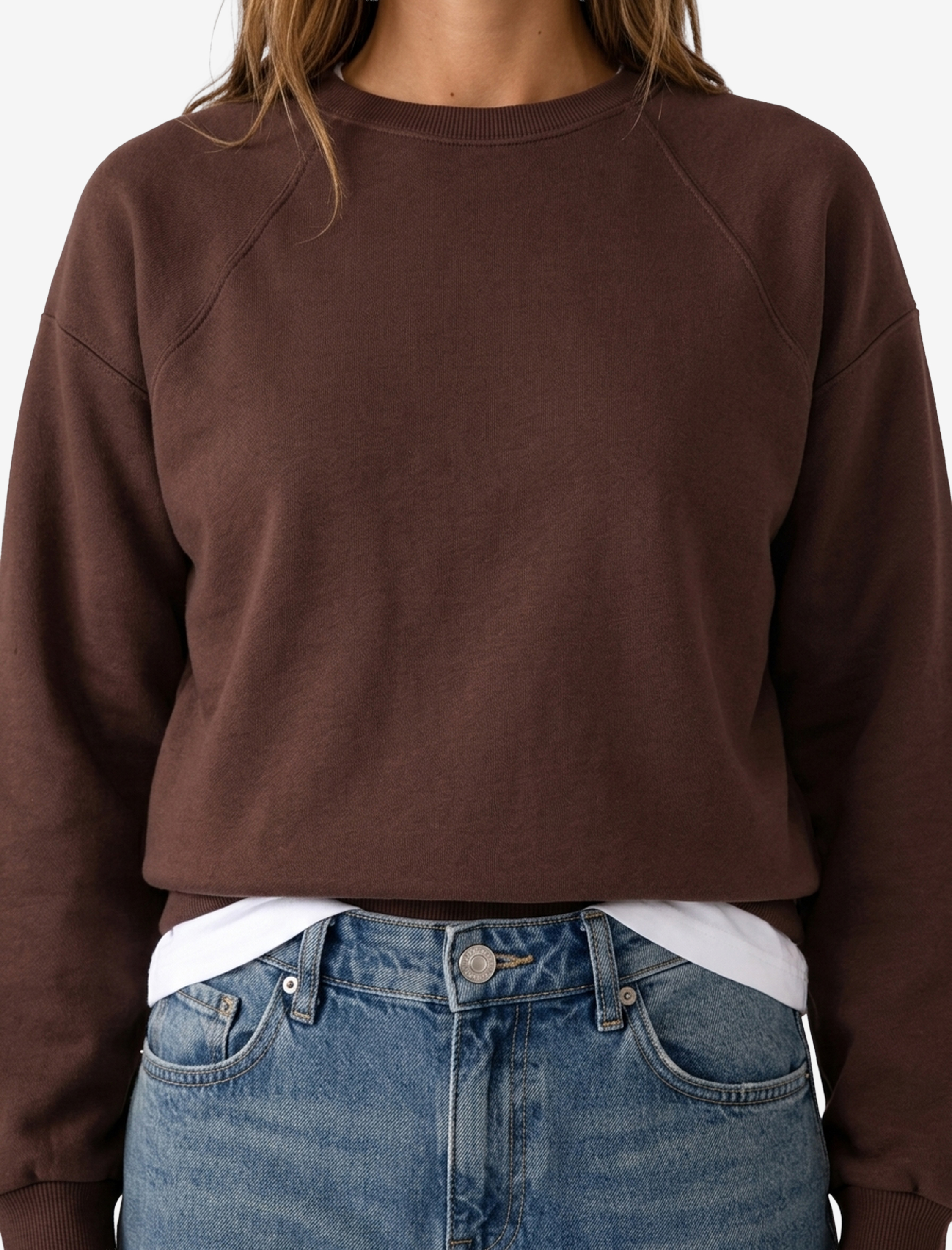   Regular Fit Üç İplik Şardonlu Uzun Kollu Bisiklet Yaka Basic Sweatshirt