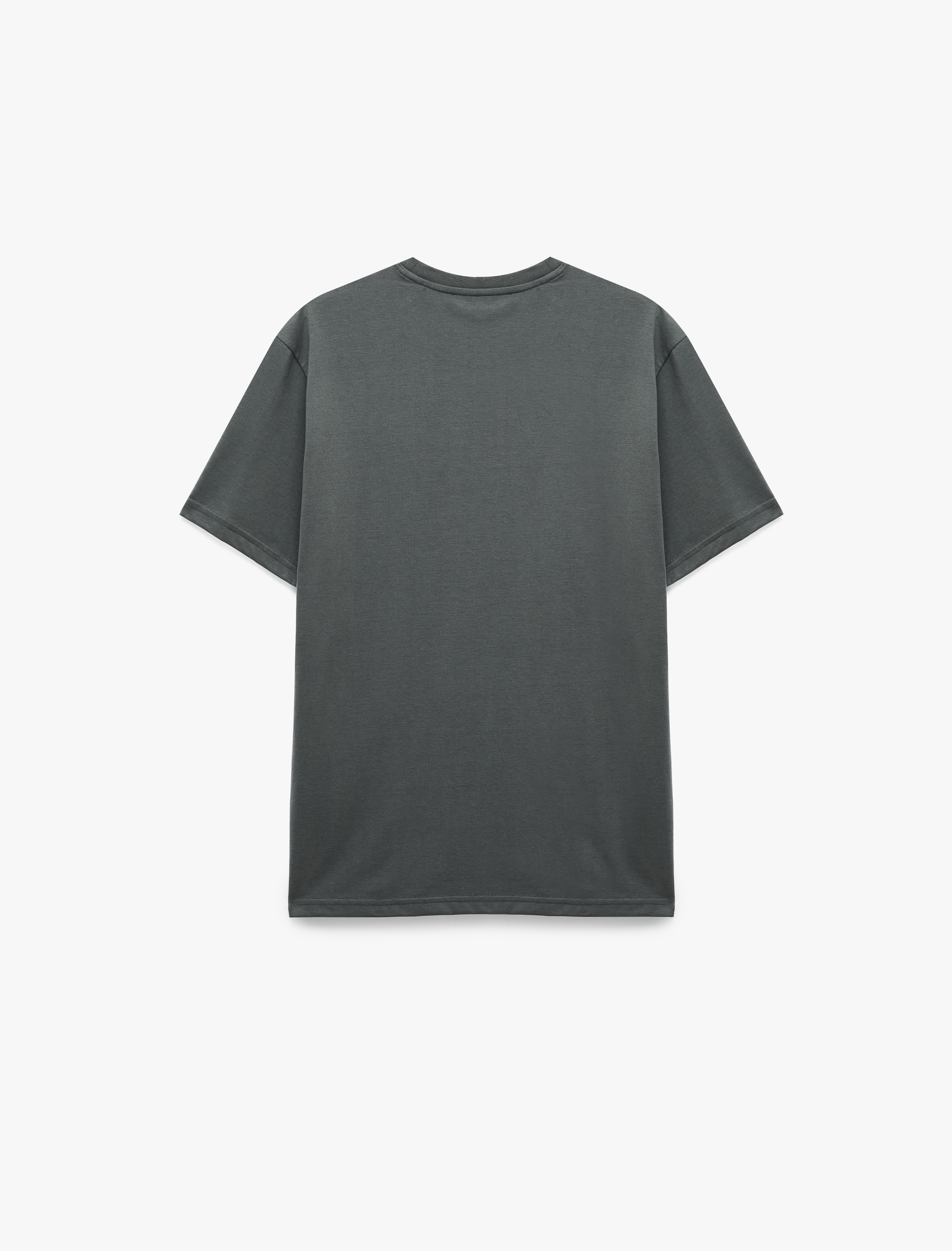   Regular Fit Bisiklet Yaka Kısa Kollu Basic Tişört