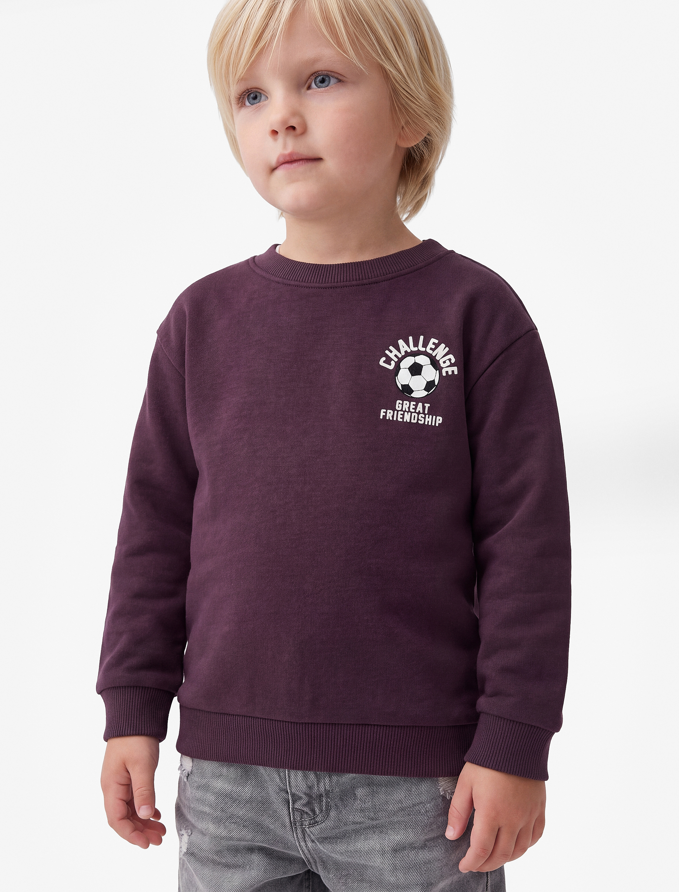  Erkek Bebek Bisiklet Yaka Uzun Kollu Baskı Detaylı Şardonlu Sweatshirt