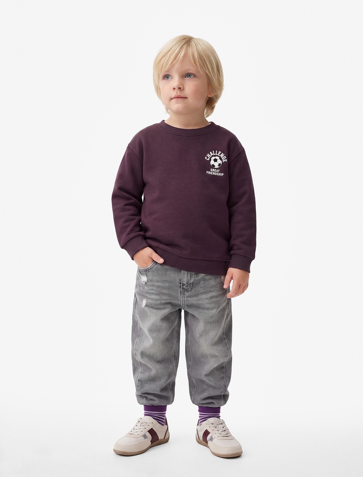 Erkek Bebek Bisiklet Yaka Uzun Kollu Baskı Detaylı Şardonlu Sweatshirt
