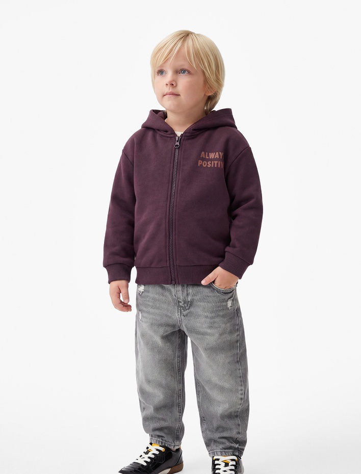Erkek Bebek Baskılı Uzun Kollu Şardonlu Fermuarlı Kapşonlu Sweatshirt