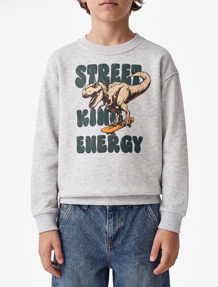 Erkek Çocuk Uzun Kollu Bisiklet Yaka Dinozor Baskılı Sweatshirt