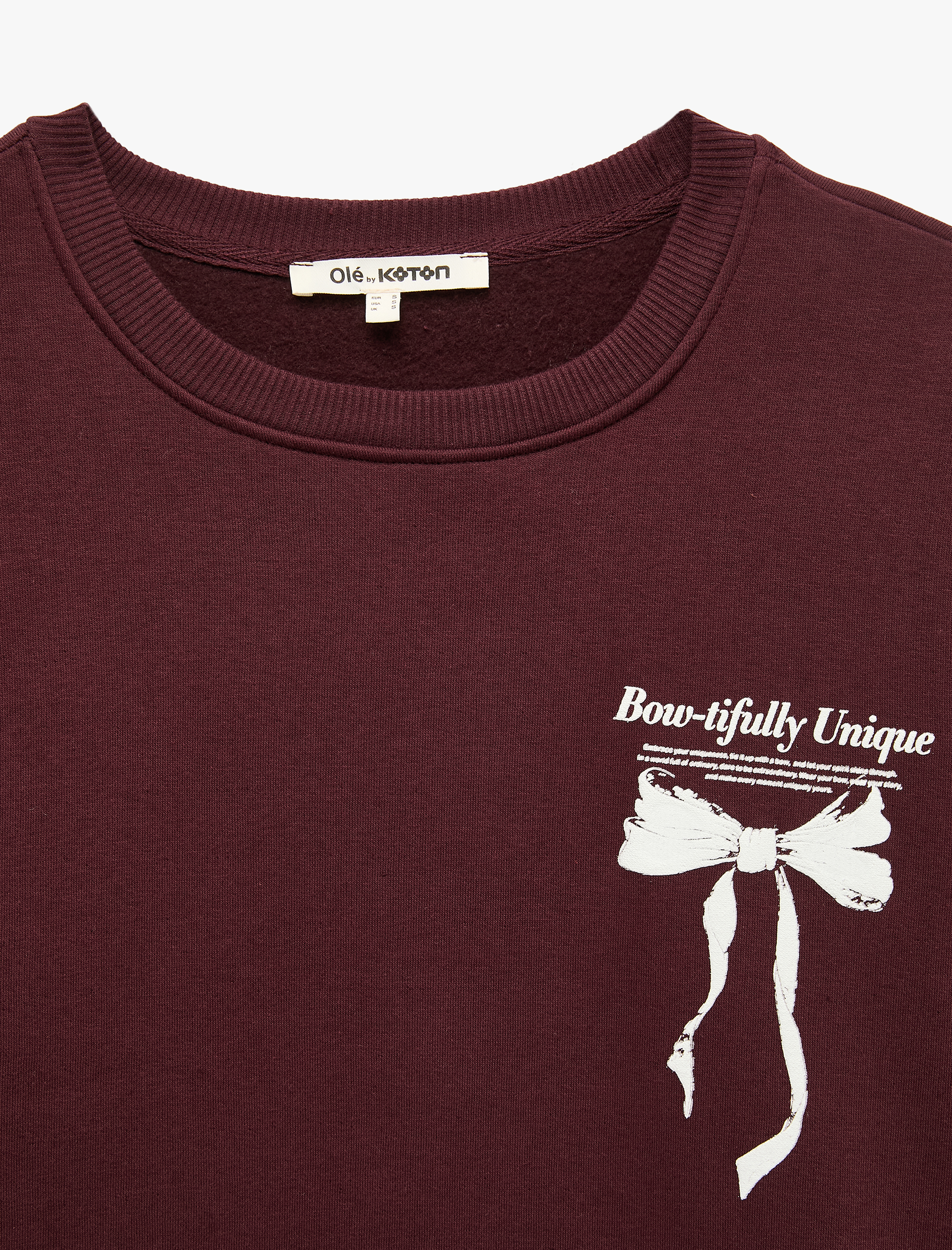   Rahat Kalıp Bisiklet Yaka Şardonlu Arkası Fiyonk Baskılı Sweatshirt