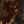 Pamuklu A Kesim Gabardin Kamuflaj Desenli Mini Etek-8D8
