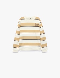 Regular Fit Bisiklet Yaka Uzun Kollu Çizgili Baskılı Sweatshirt