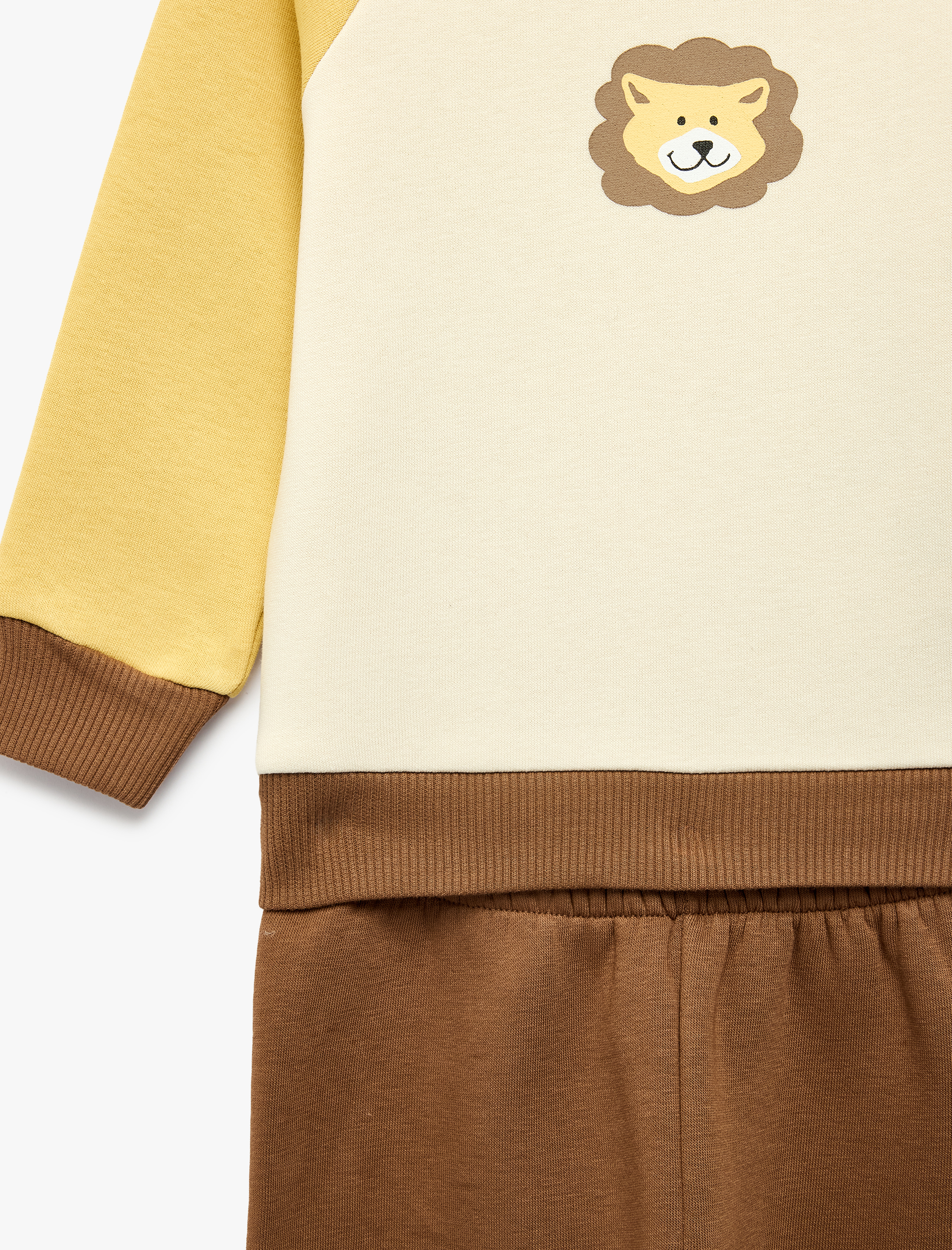  Erkek Bebek Renk Bloklu Aslan Baskılı Şardonlu Sweatshirt ve Eşofman Altı Seti