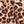 Leopar Desenli Balon Form Pantolon Beli Lastikli-0D5