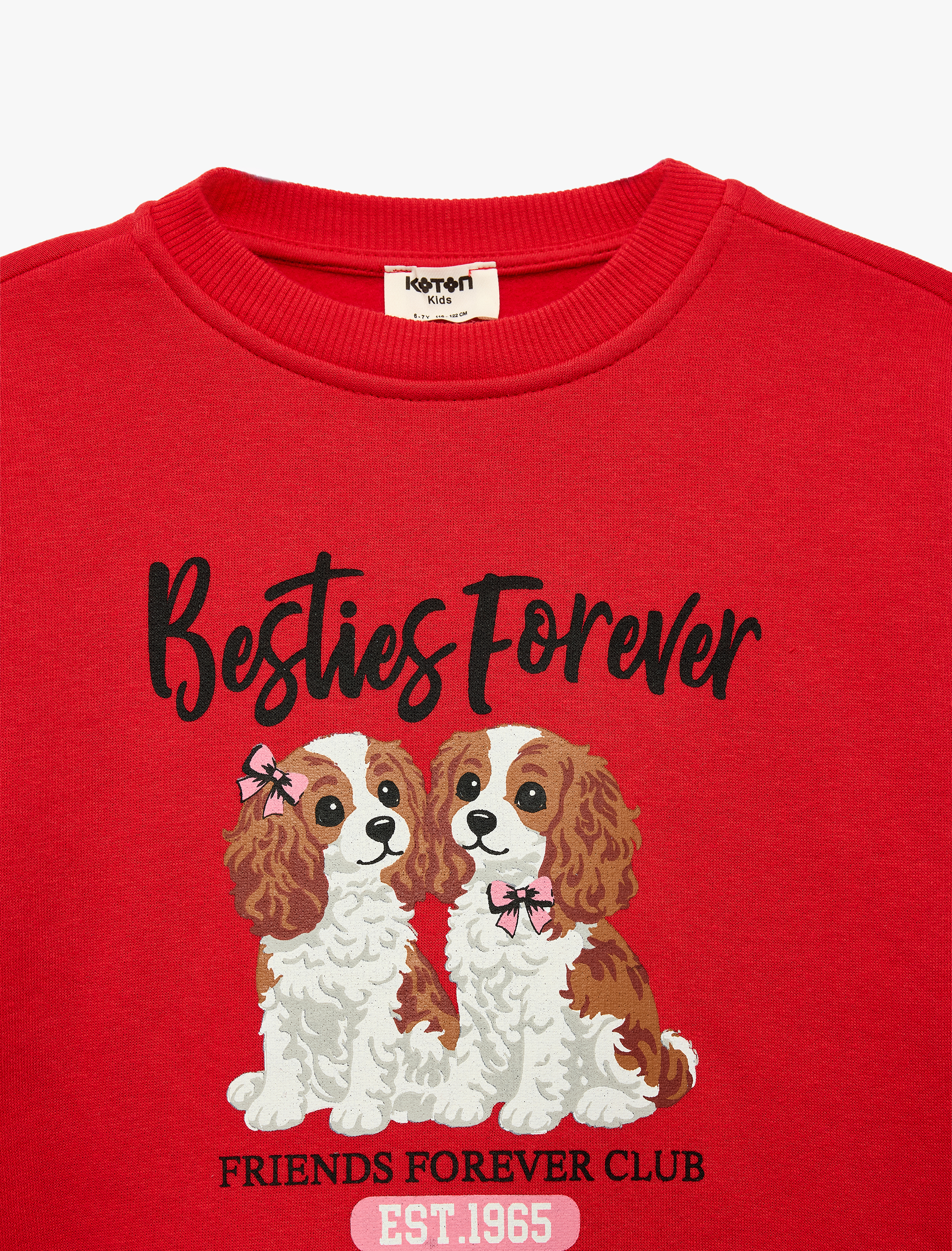  Kız Çocuk Köpek Baskılı Uzun Kollu Bisiklet Yaka Üç İplik Şardonlu Sweatshirt