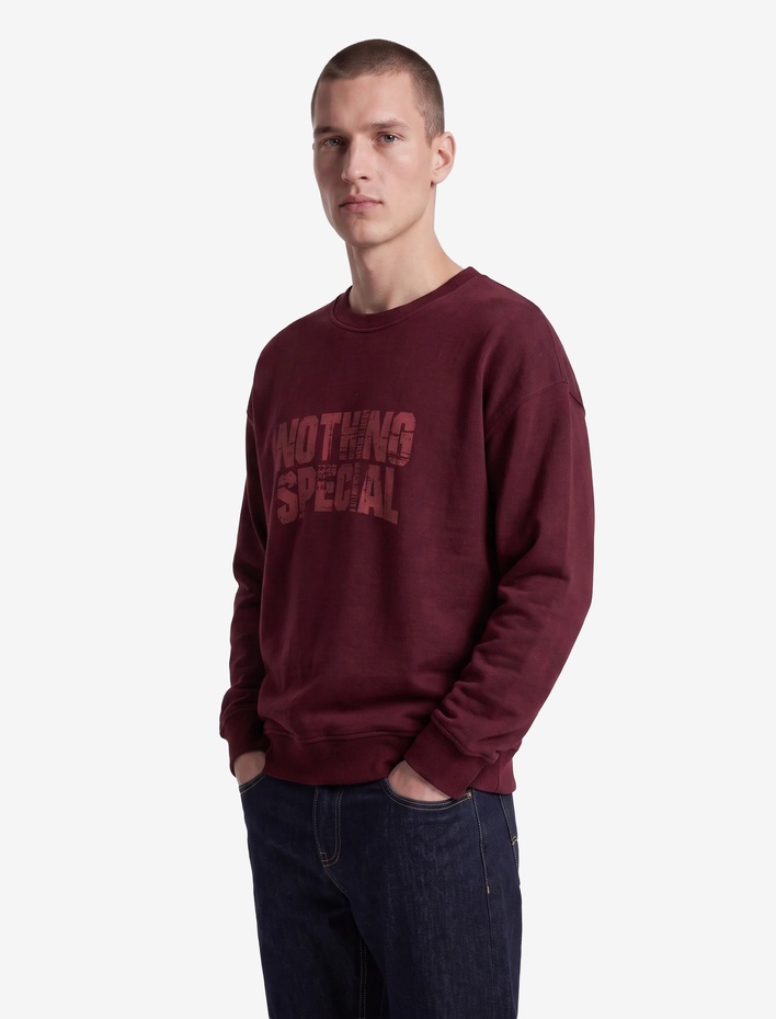  Üç İplik Şardonlu Pamuklu Rahat Kalıp Bisiklet Yaka Baskılı Sweatshirt