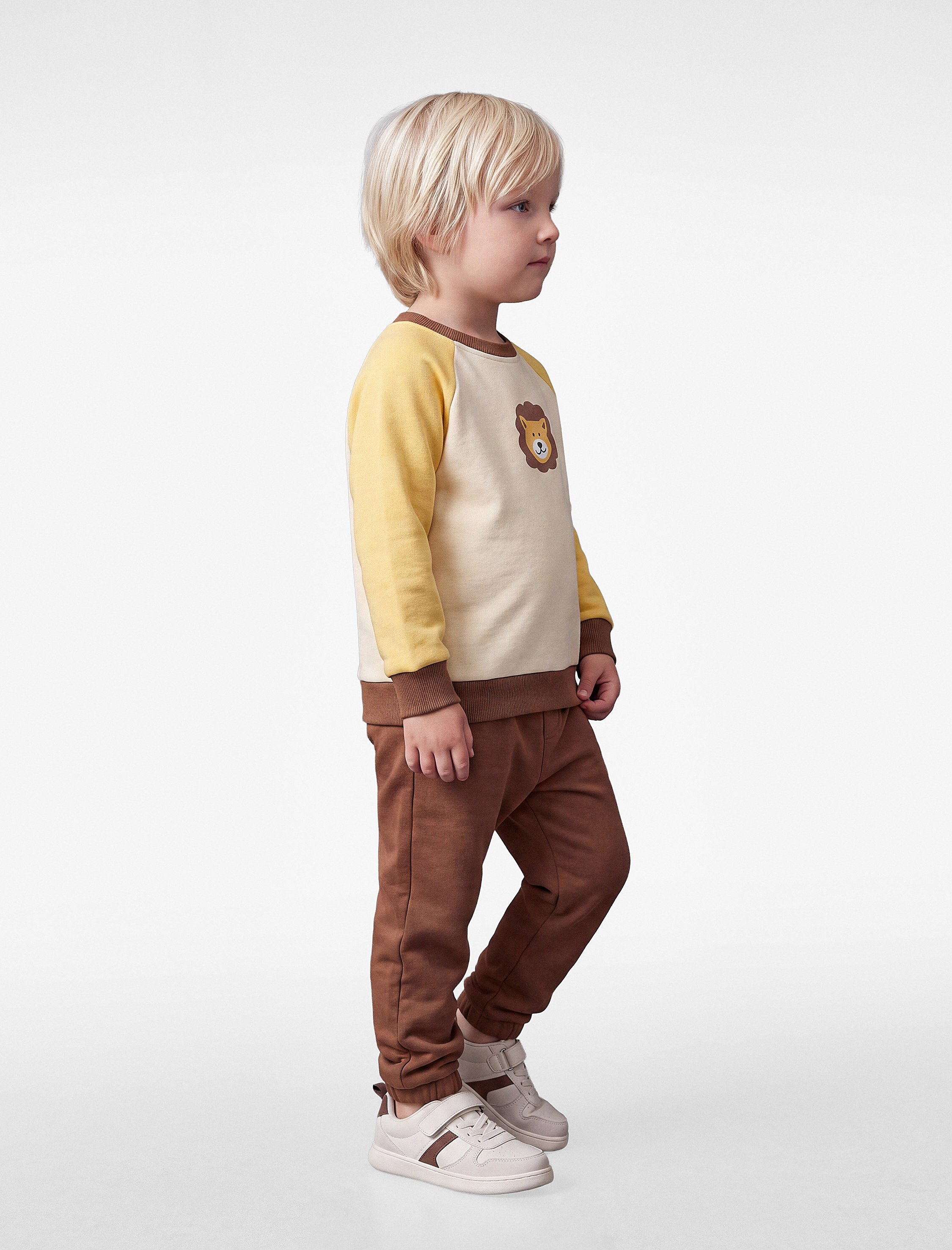  Erkek Bebek Renk Bloklu Aslan Baskılı Şardonlu Sweatshirt ve Eşofman Altı Seti