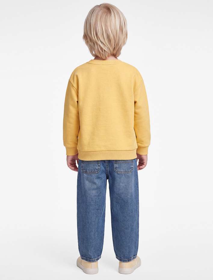 Erkek Bebek Baskı Detaylı Şardonlu Bisiklet Yaka Uzun Kollu Sweatshirt