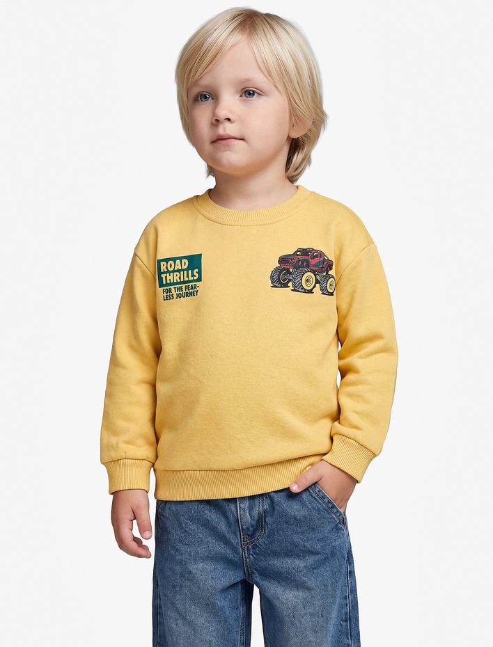 Erkek Bebek Baskı Detaylı Şardonlu Bisiklet Yaka Uzun Kollu Sweatshirt