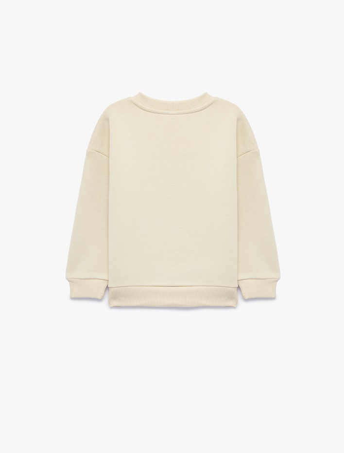 Erkek Bebek Hayvan Detaylı Arkası Baskılı Şardonlu Bisiklet Yaka Uzun Kollu Sweatshirt