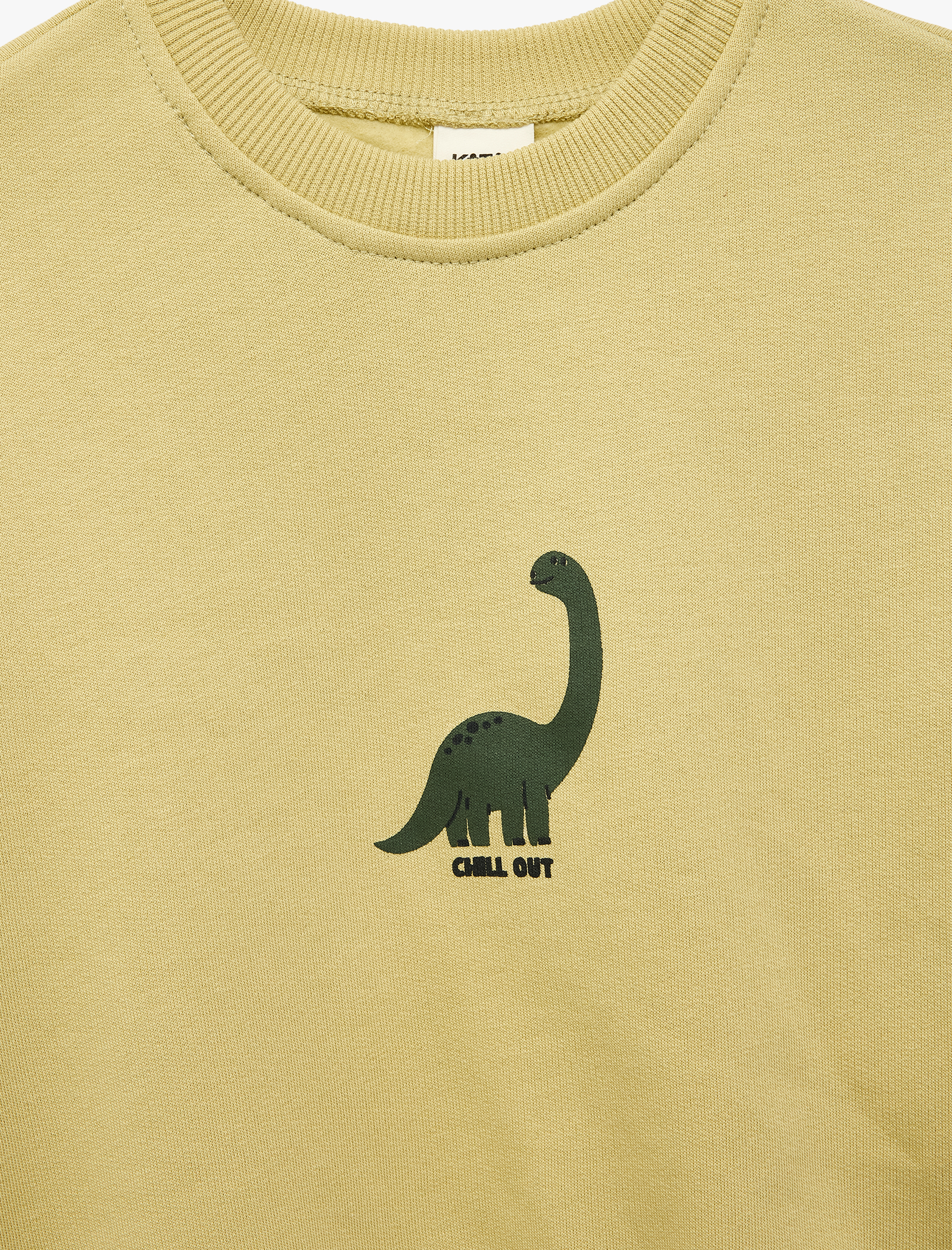  Erkek Bebek Dinozor Baskılı Şardonlu Bisiklet Yaka Uzun Kollu Pamuklu Sweatshirt